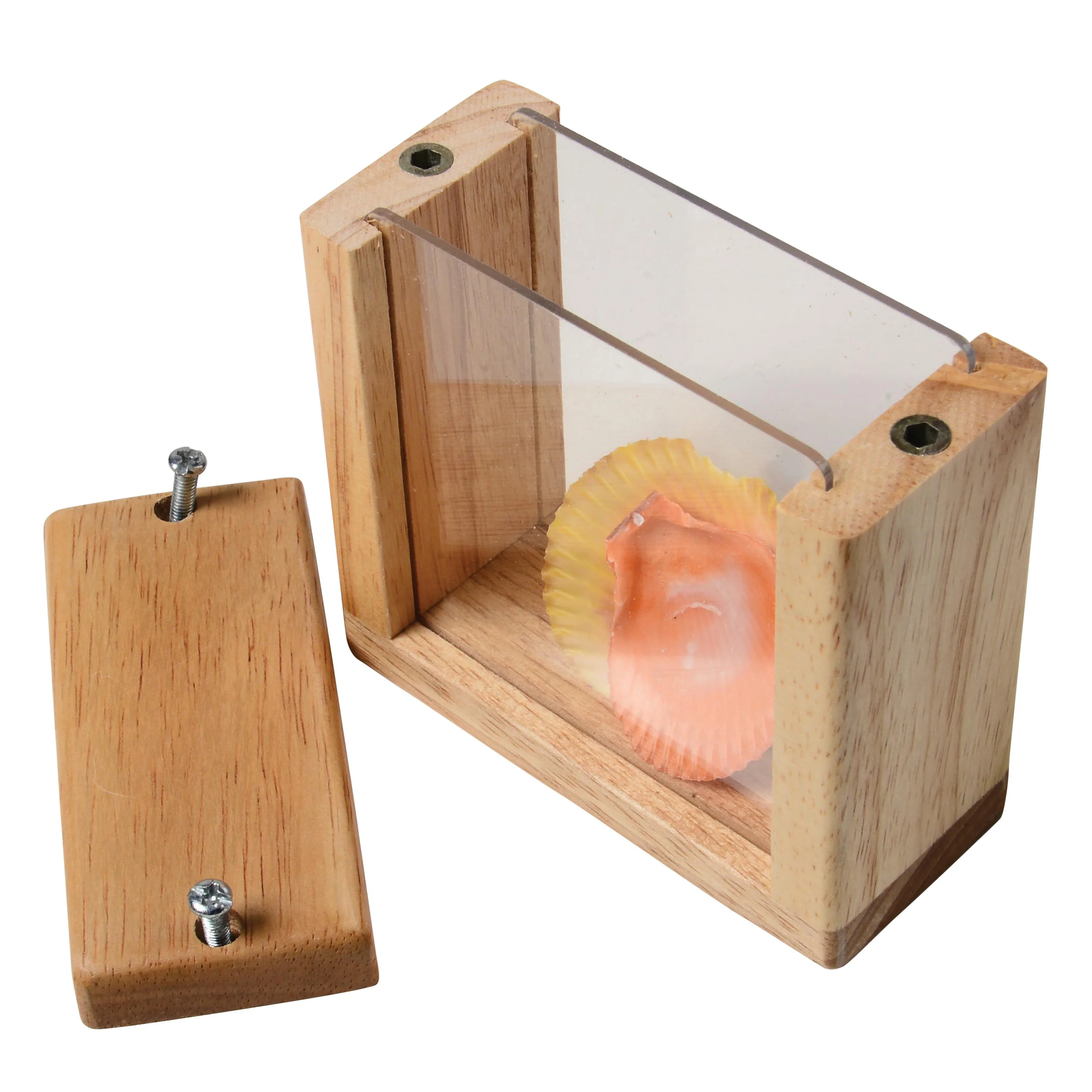 Refillable Discovery Blocks - Image 8