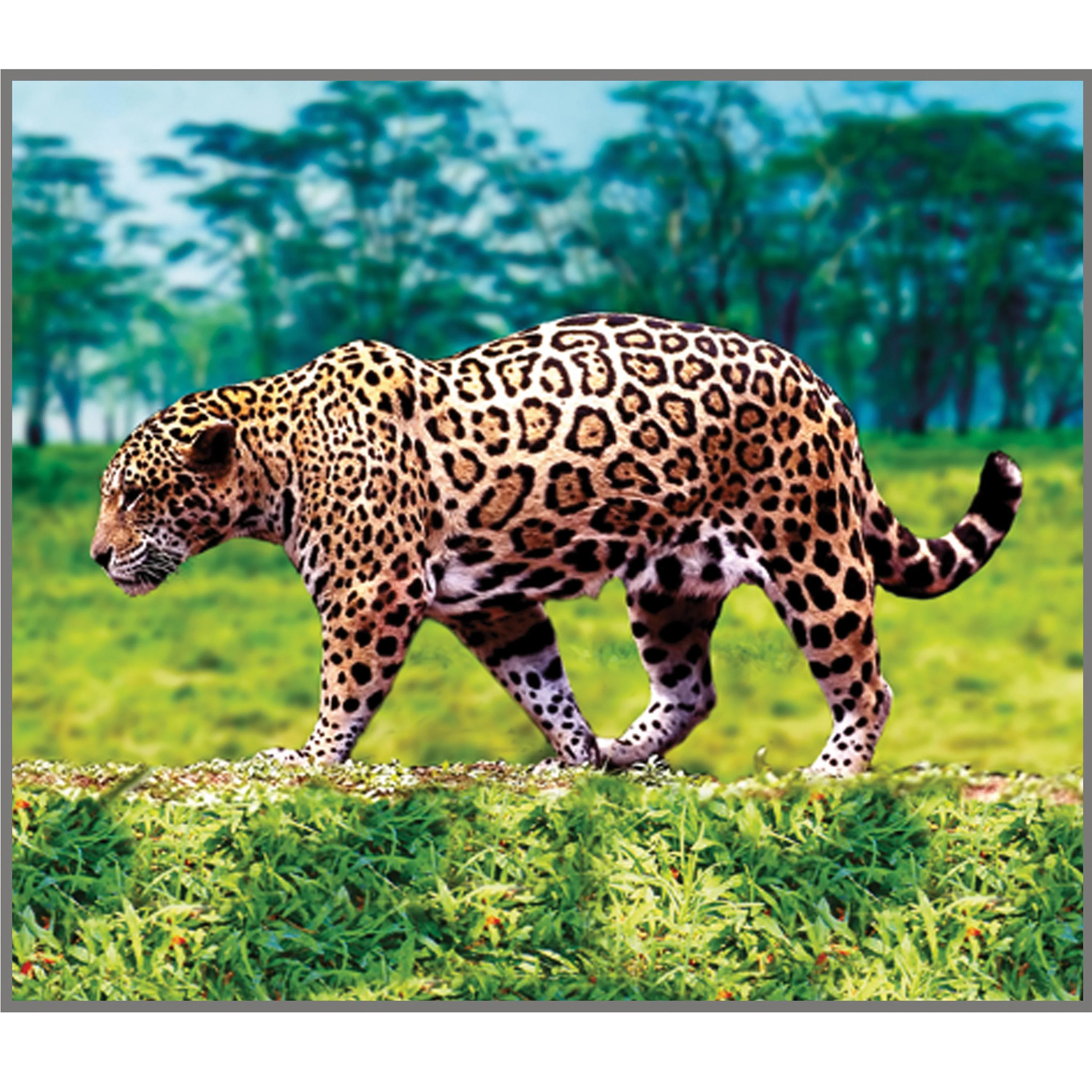 Animal Projector - Image 5