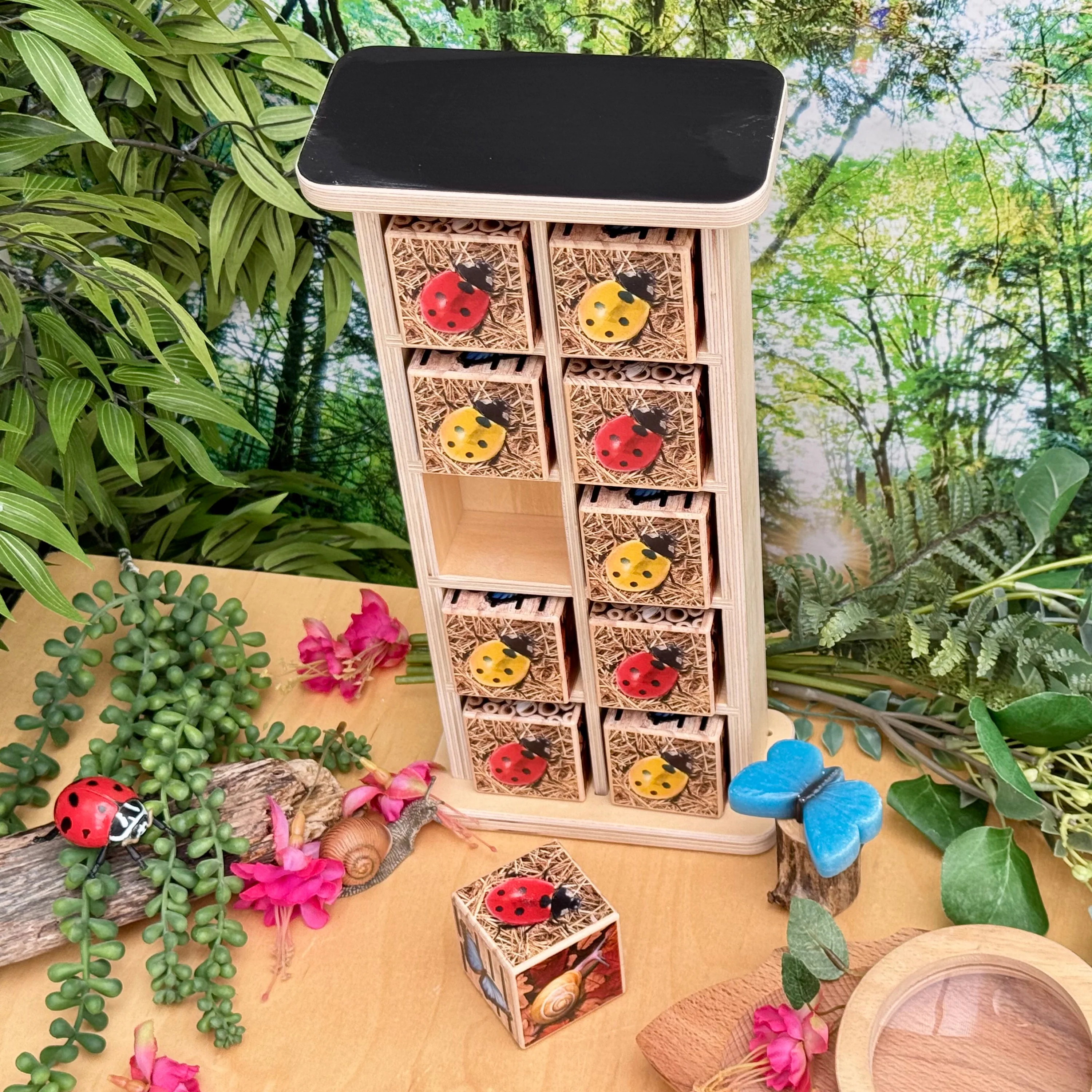 Bug Hotel 10-Frame Wooden Counting Toy | Nature-Inspired Math Learning Set with 10 Bug Cubes - Image 12