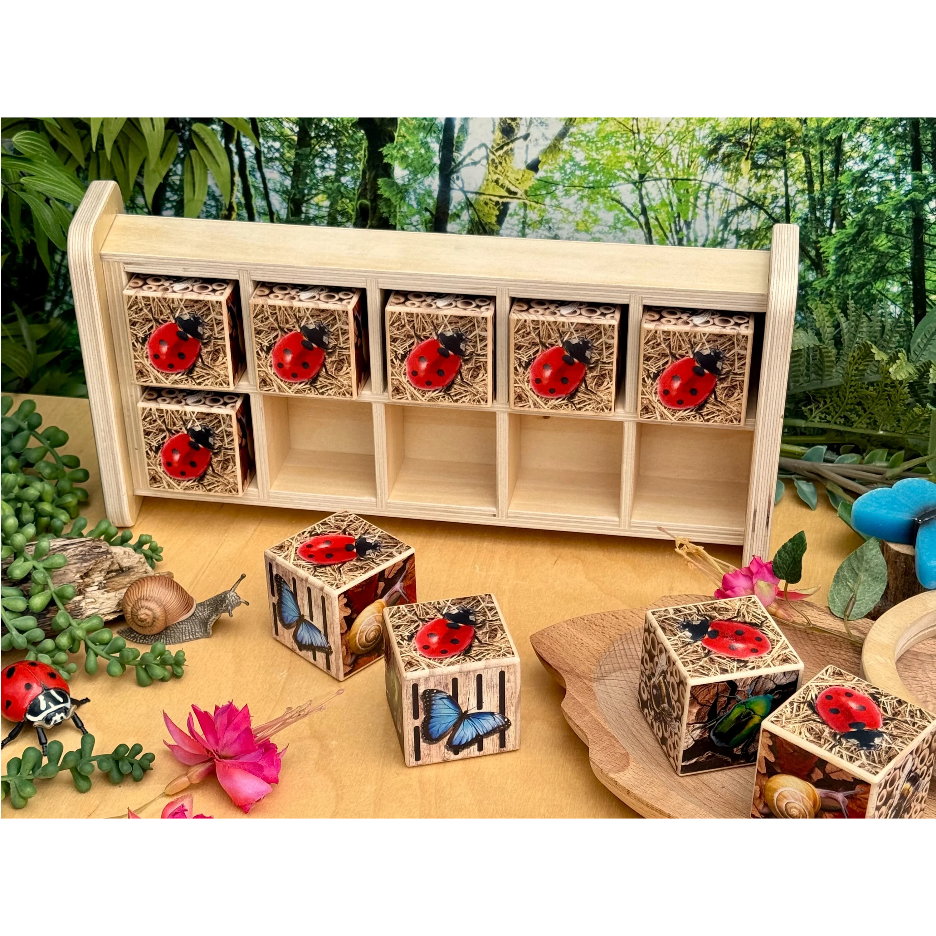 Bug Hotel 10-Frame Wooden Counting Toy | Nature-Inspired Math Learning Set with 10 Bug Cubes - Image 14