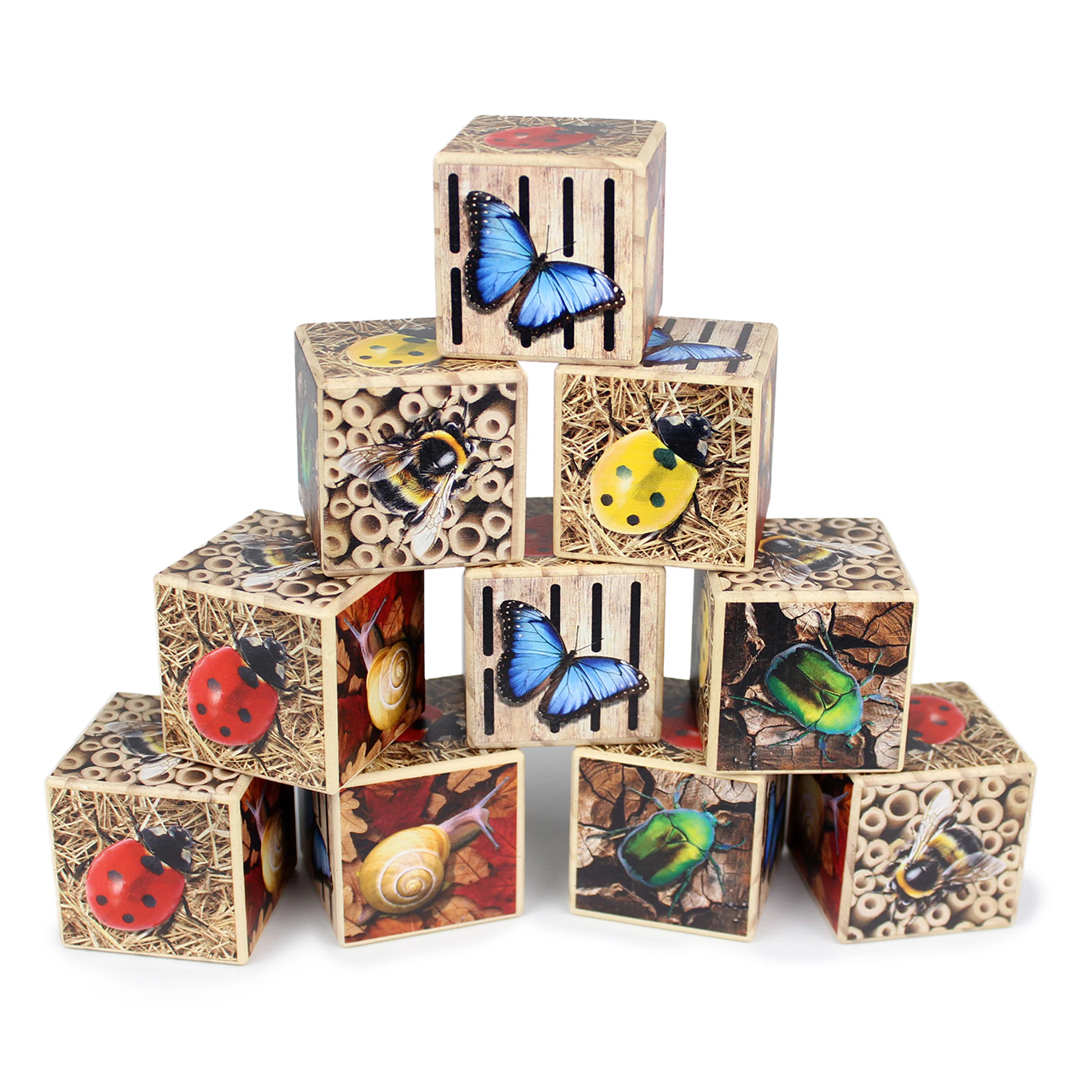 Bug Hotel 10-Frame Wooden Counting Toy | Nature-Inspired Math Learning Set with 10 Bug Cubes - Image 3