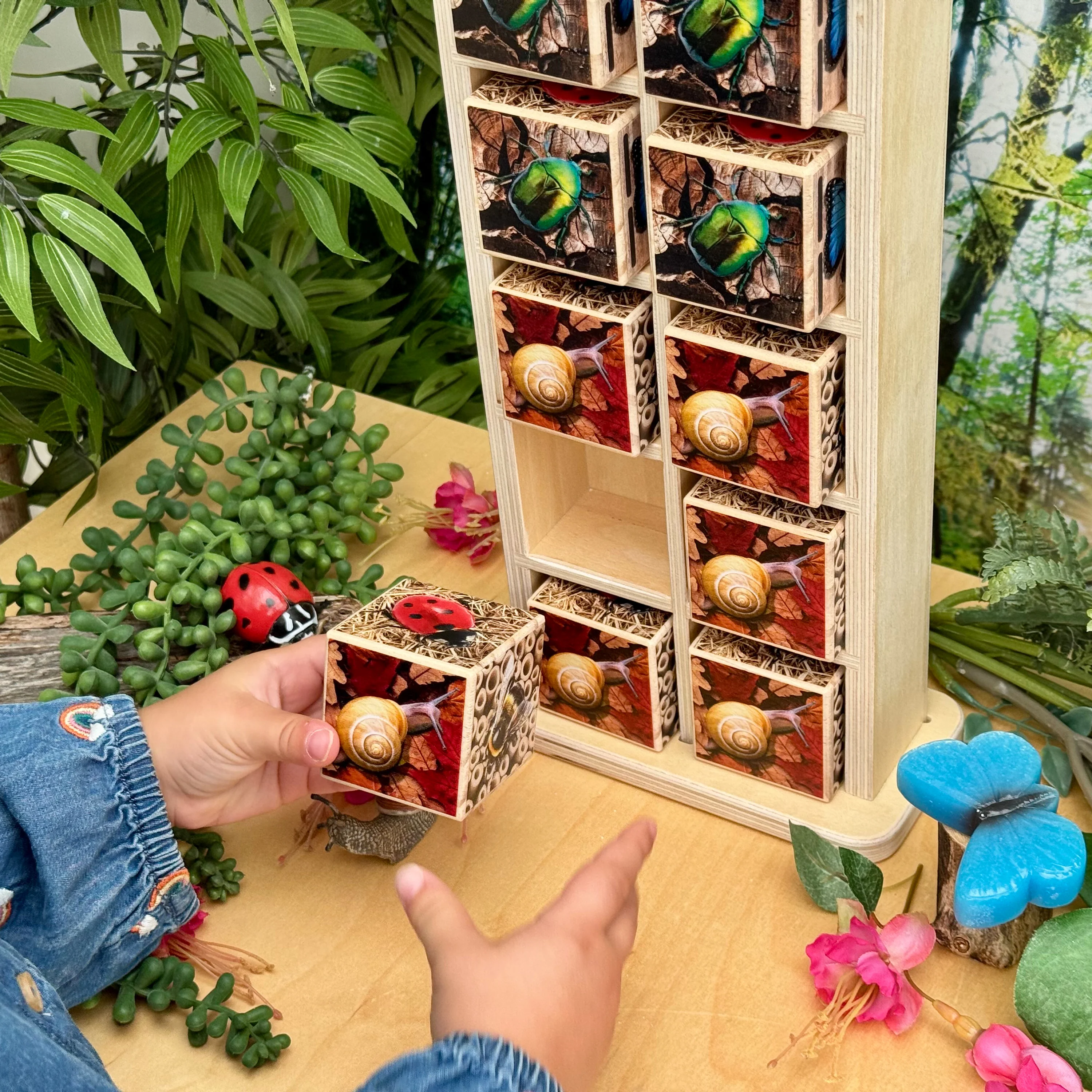 Bug Hotel 10-Frame Wooden Counting Toy | Nature-Inspired Math Learning Set with 10 Bug Cubes - Image 5