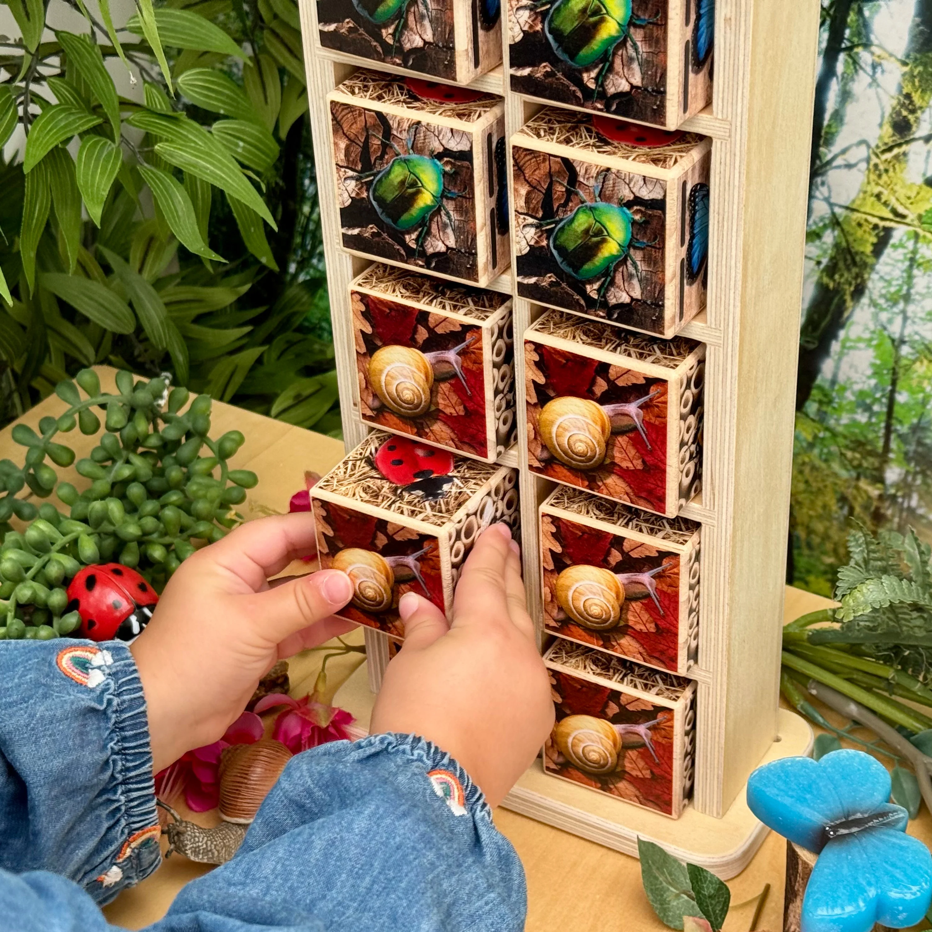 Bug Hotel 10-Frame Wooden Counting Toy | Nature-Inspired Math Learning Set with 10 Bug Cubes - Image 9