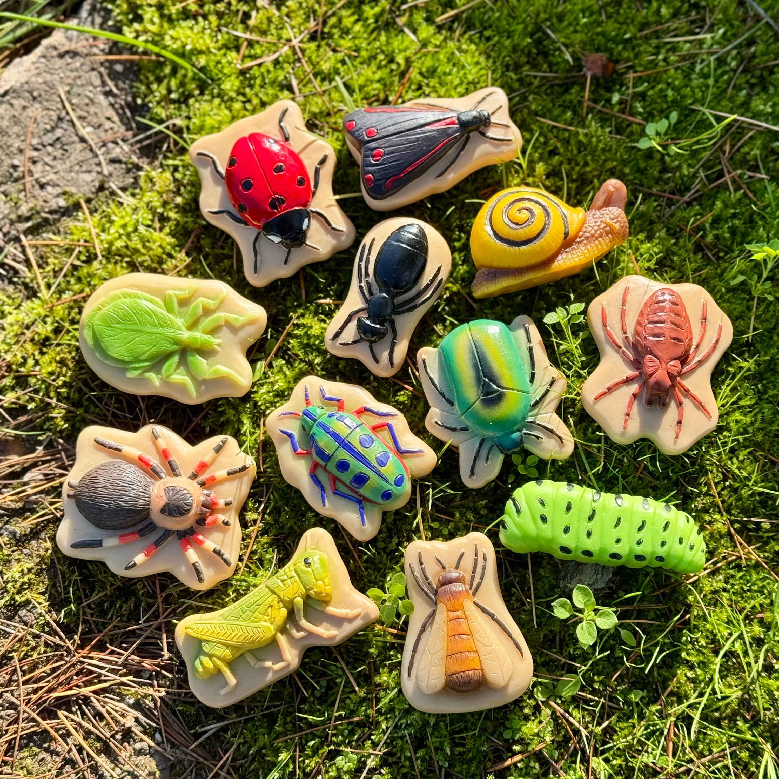 Bugs Sensory Play Stones Set | Realistic Insect & Creature Tactile Learning Toys