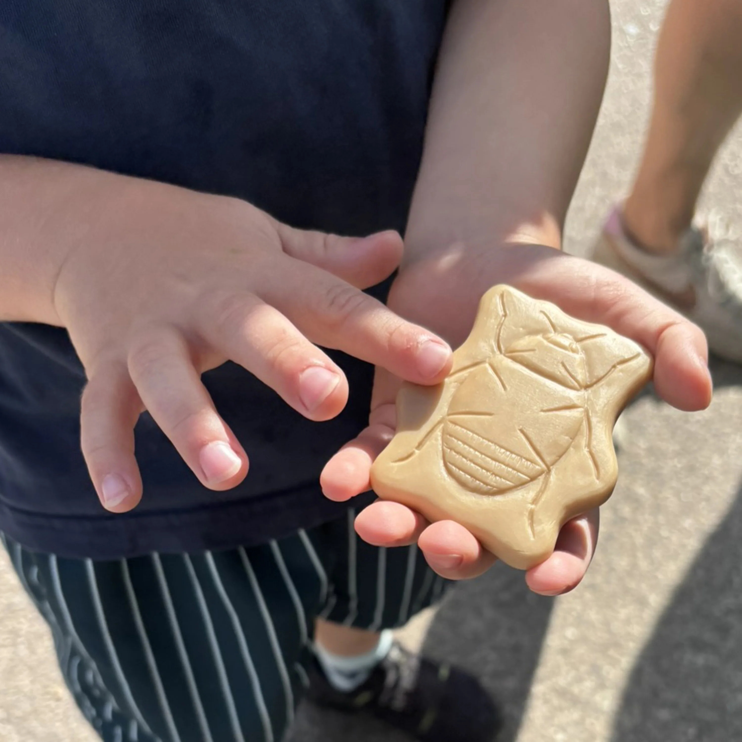 Bugs Sensory Play Stones Set | Realistic Insect & Creature Tactile Learning Toys - Image 10