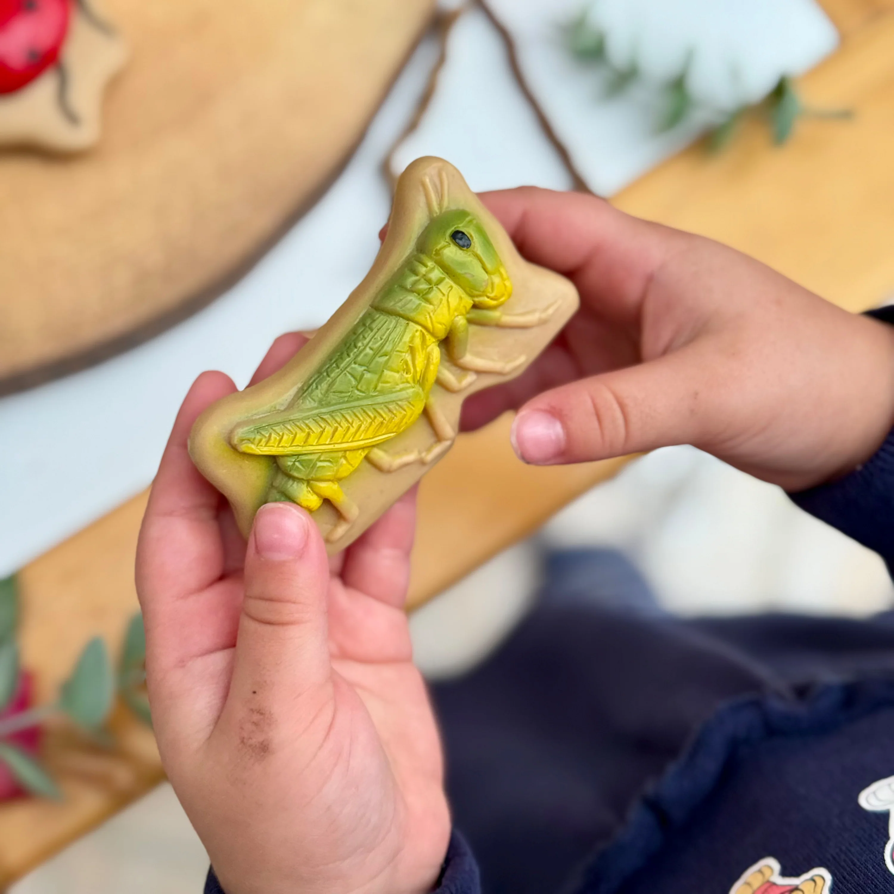 Bugs Sensory Play Stones Set | Realistic Insect & Creature Tactile Learning Toys - Image 11