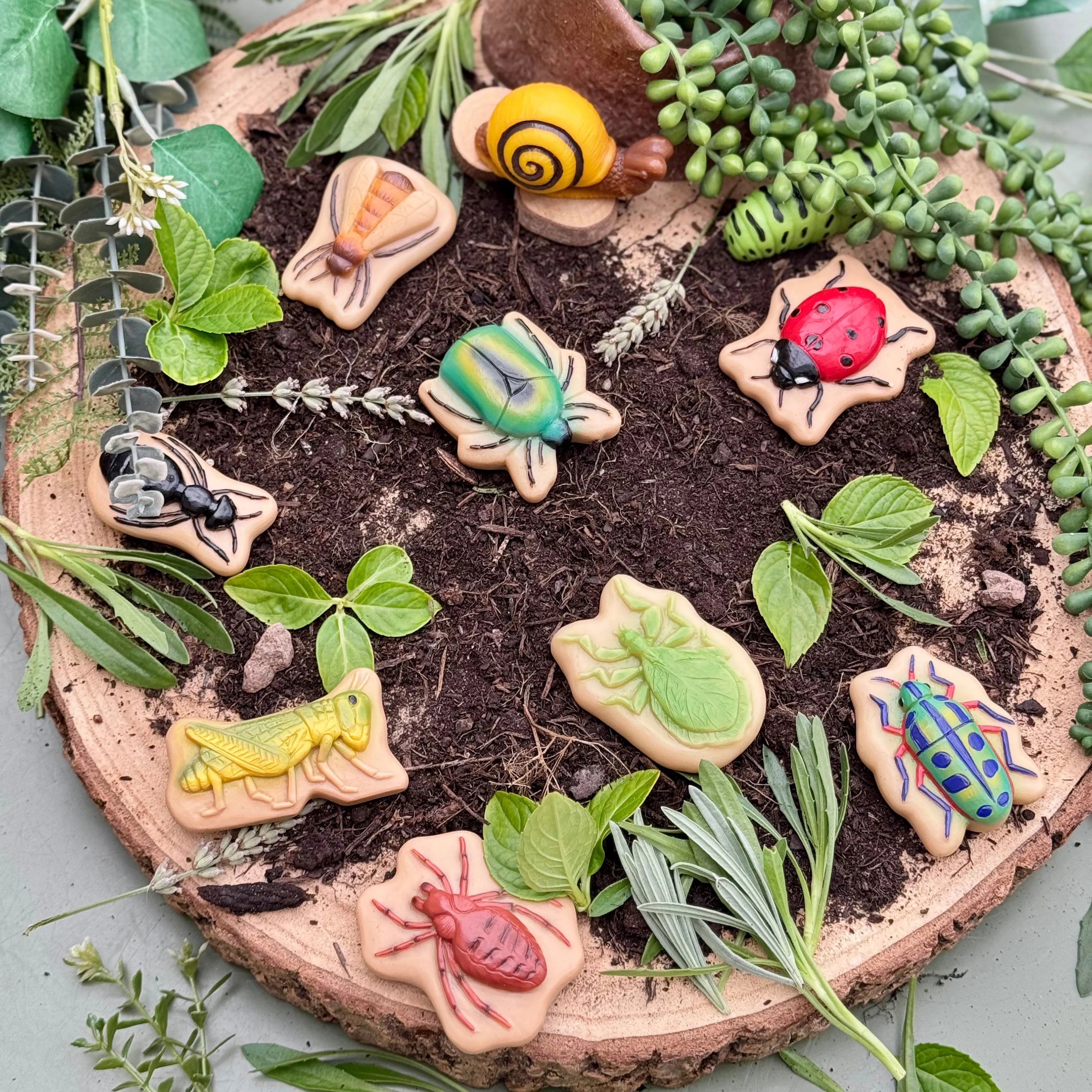 Bugs Sensory Play Stones Set | Realistic Insect & Creature Tactile Learning Toys - Image 13