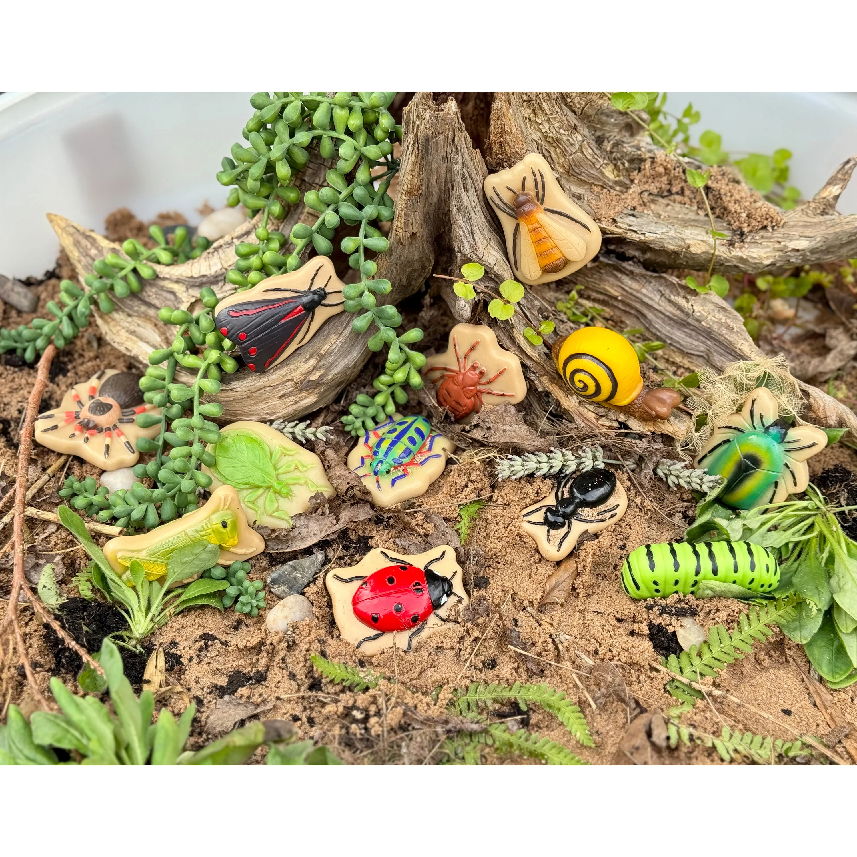 Bugs Sensory Play Stones Set | Realistic Insect & Creature Tactile Learning Toys - Image 15
