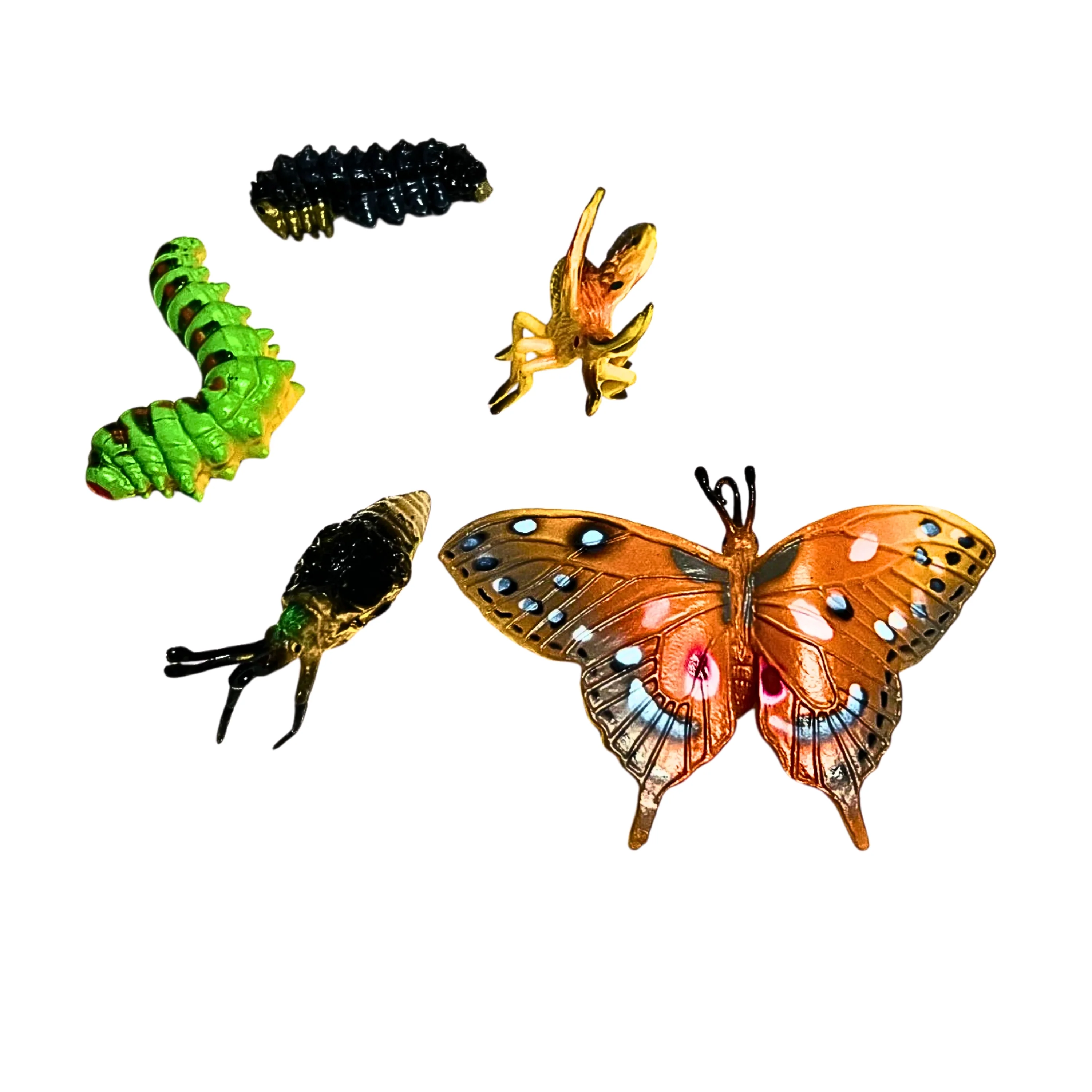 Butterfly Life Cycle Figurines - Image 4