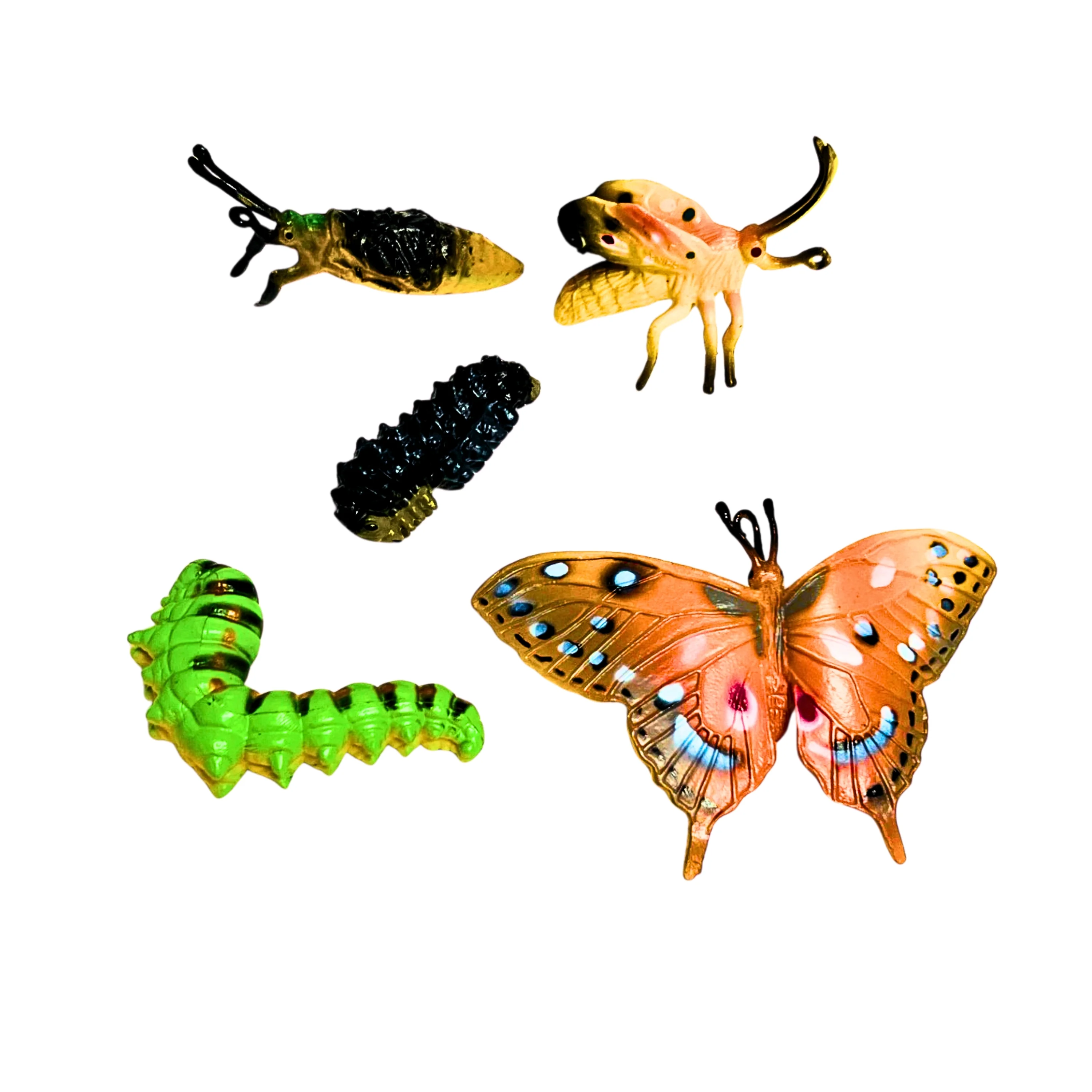 Butterfly Life Cycle Figurines - Image 5
