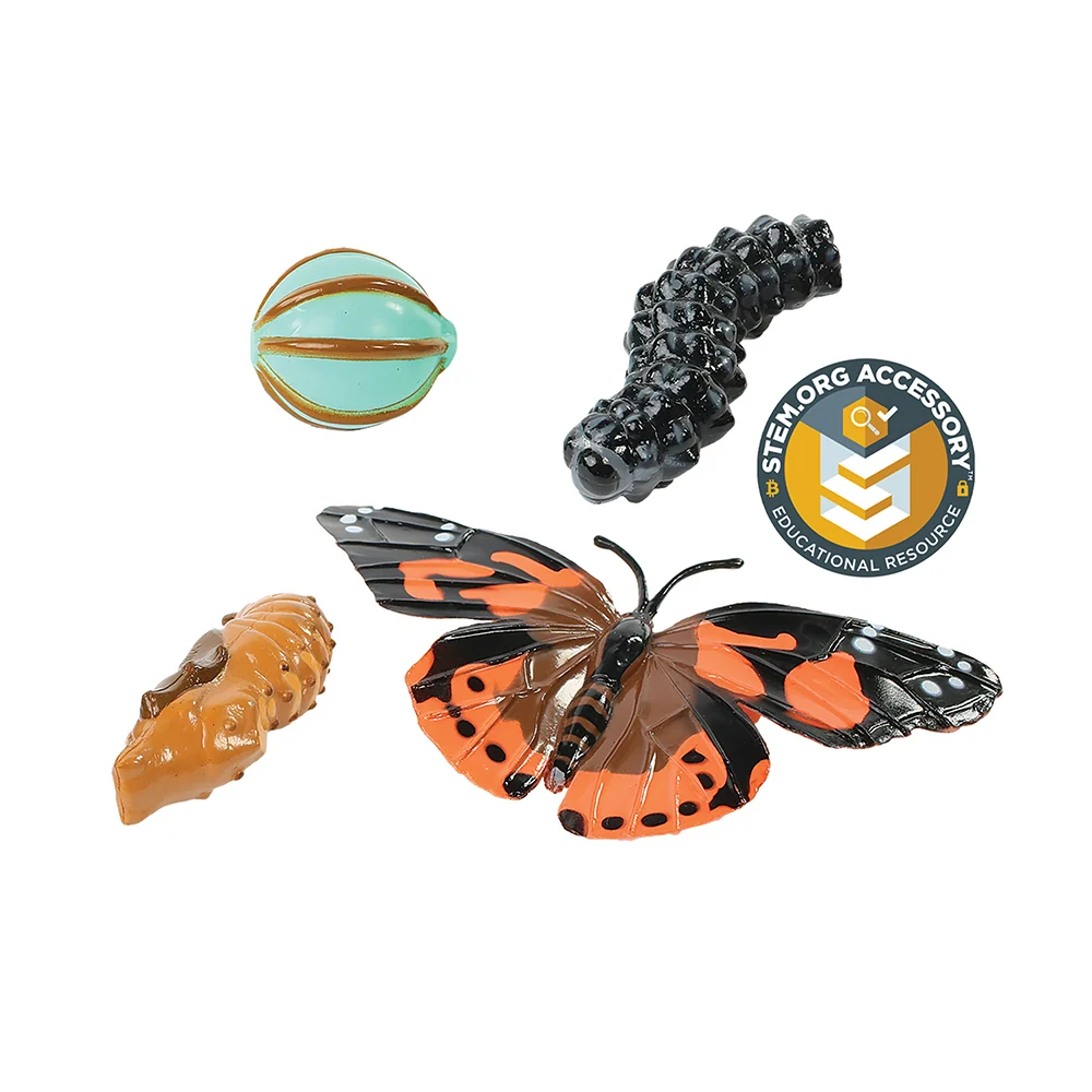 Painted Lady Butterfly Life Cycle Figurines | 4-Piece Educational Set