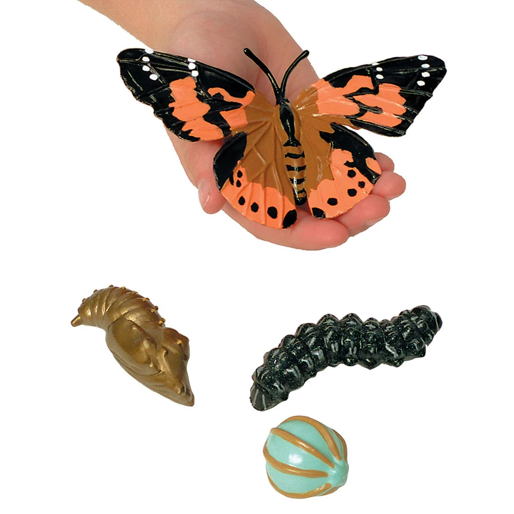 Painted Lady Butterfly Life Cycle Figurines | 4-Piece Educational Set - Image 2