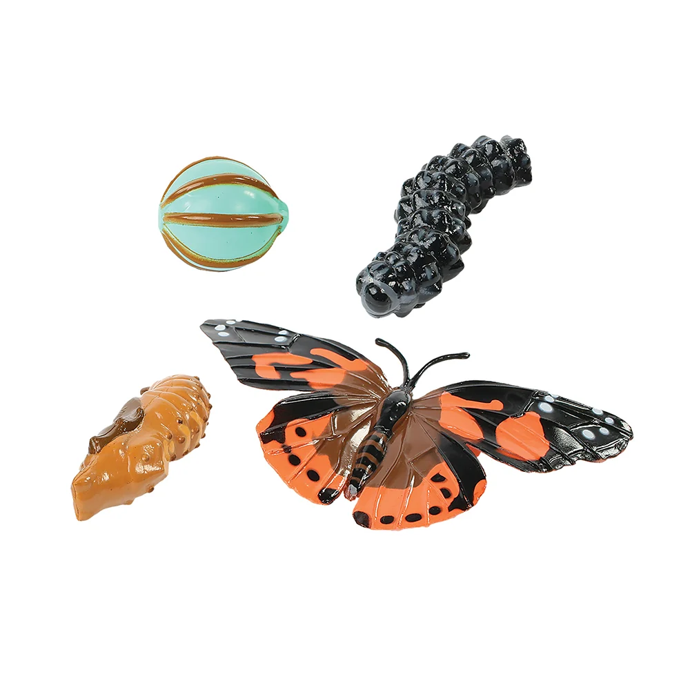 Painted Lady Butterfly Life Cycle Figurines | 4-Piece Educational Set - Image 3
