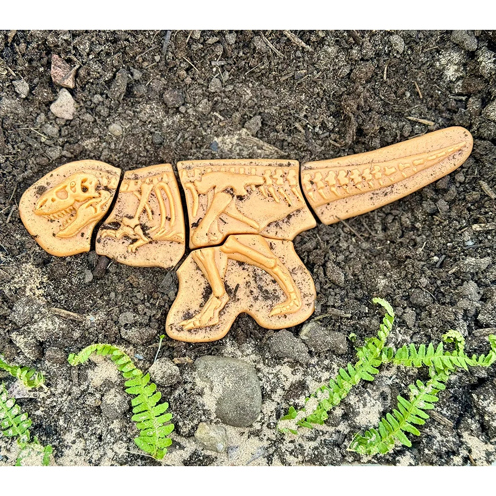 Prehistoric Fossil Dig & Build Set | 6 Dinosaur Skeletons Puzzle Kit - Image 5