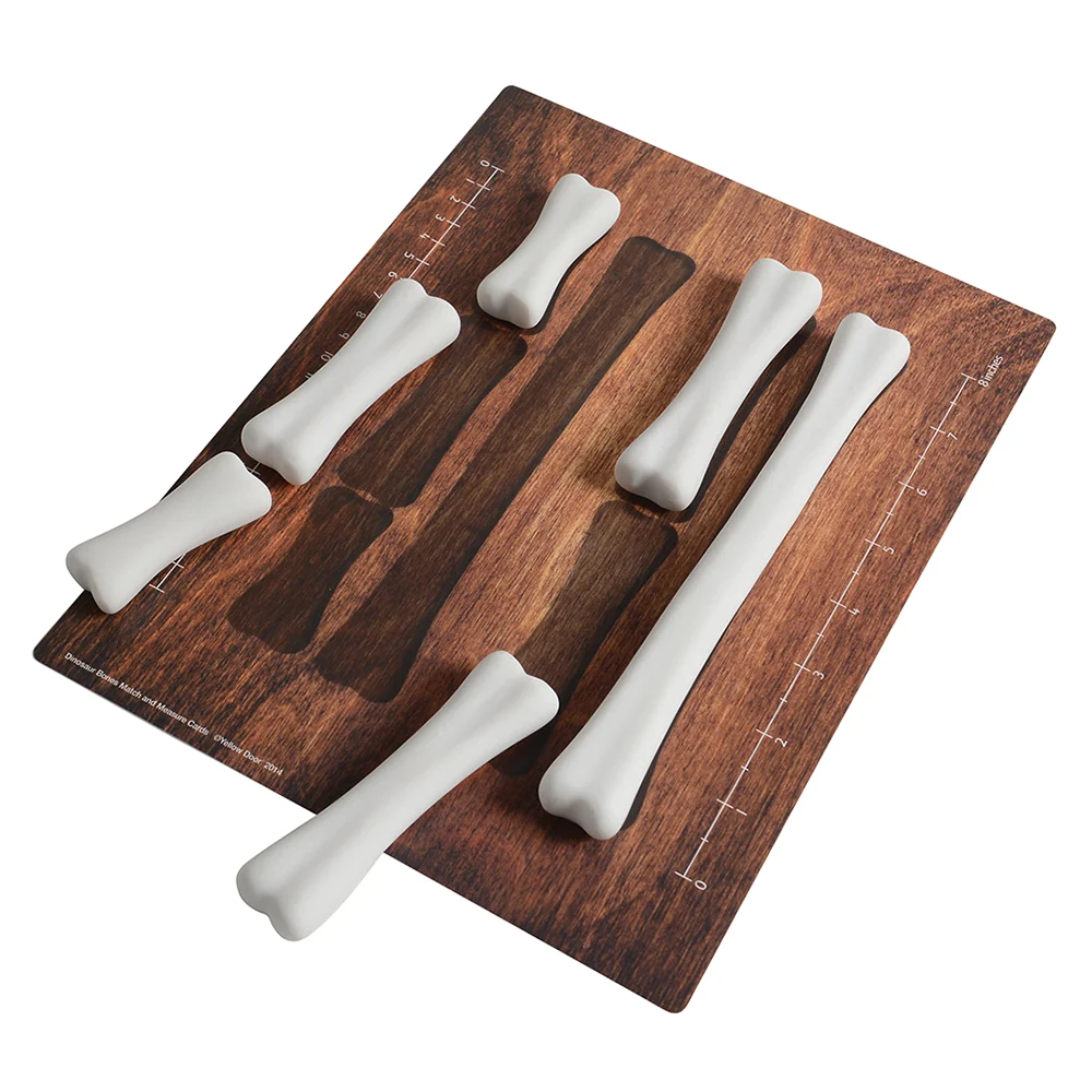 Yellow Door® Dinosaur Bones with Match & Measure Cards Exploration Set - Image 7