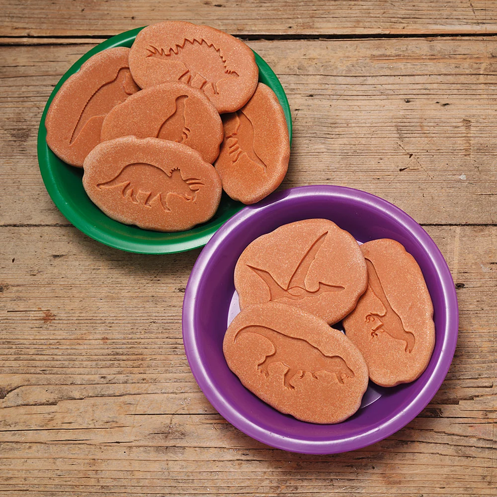 Yellow Door® Let's Investigate Dinosaur Footprints Double-Sided Animal Stones - Image 5