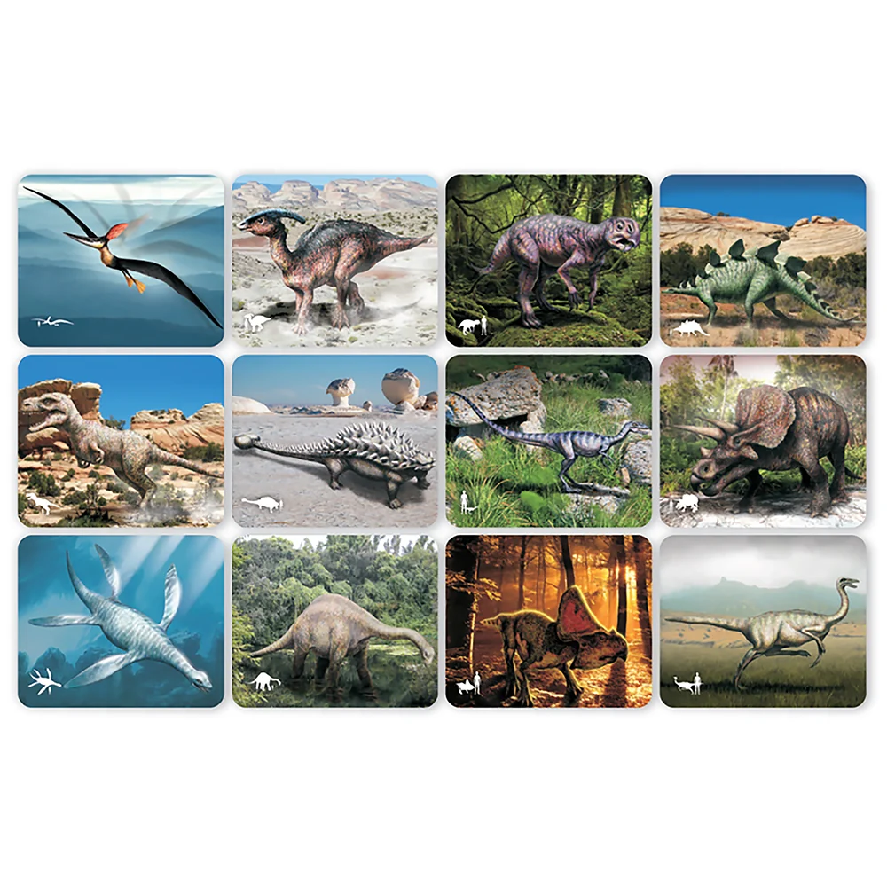 Dinosaur Picture Cards & X-Rays - Image 3