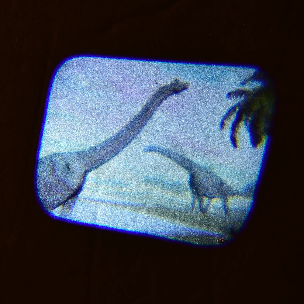 Dinosaur Projector - Image 4