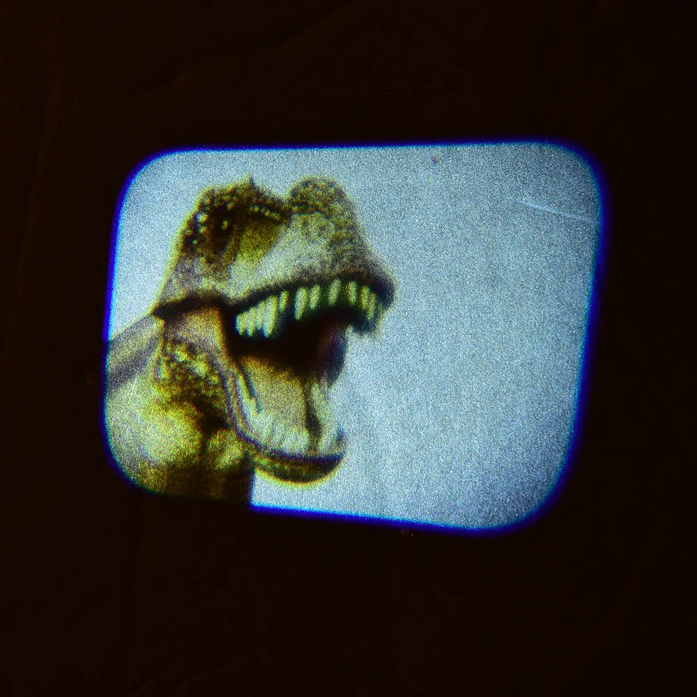 Dinosaur Projector - Image 5