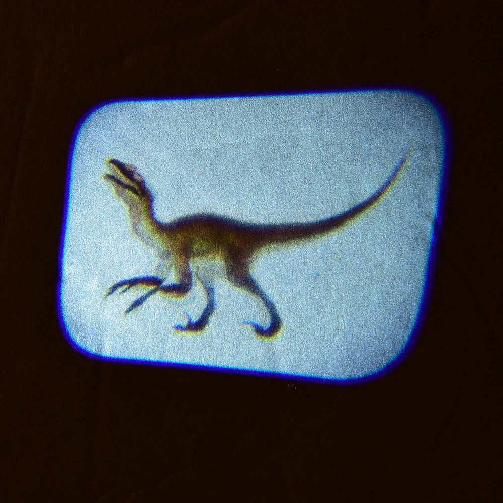 Dinosaur Projector - Image 6