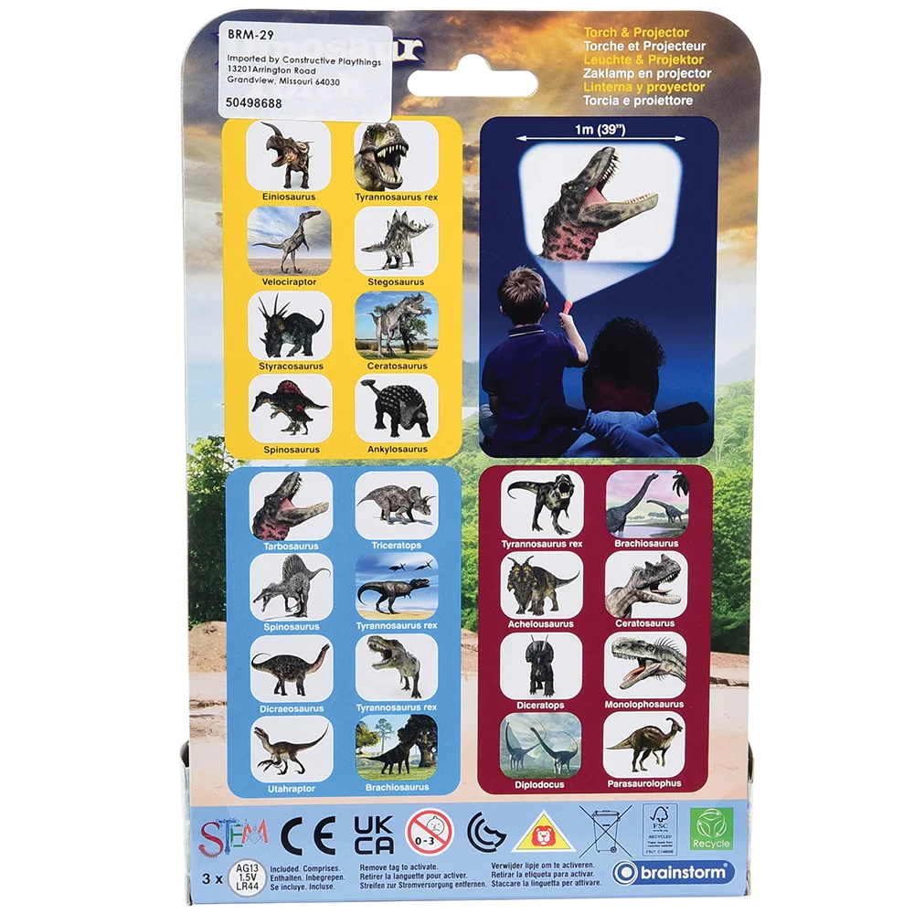 Dinosaur Projector - Image 7