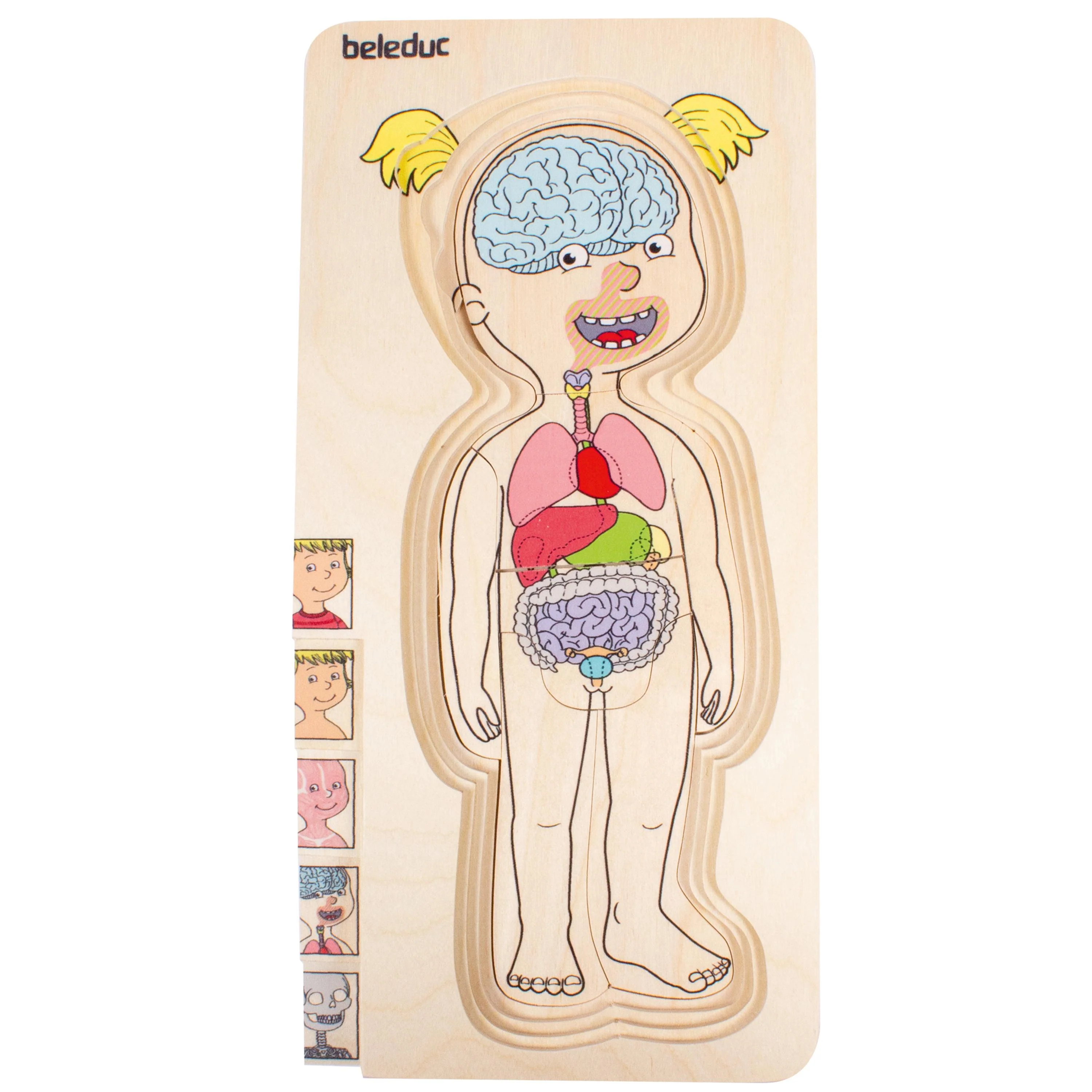Discover Your Body Puzzles - Image 2