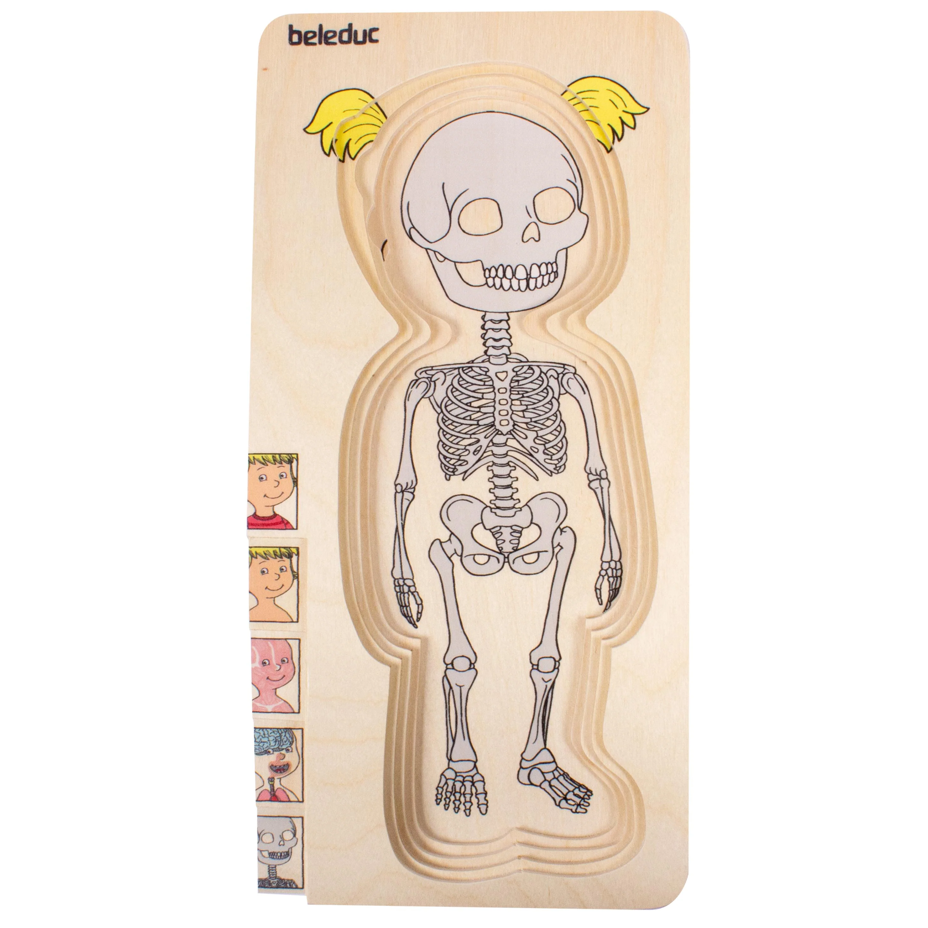Discover Your Body Puzzles - Image 4