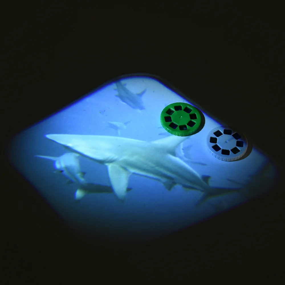 Discovery Projectors / Series 2 - Image 11