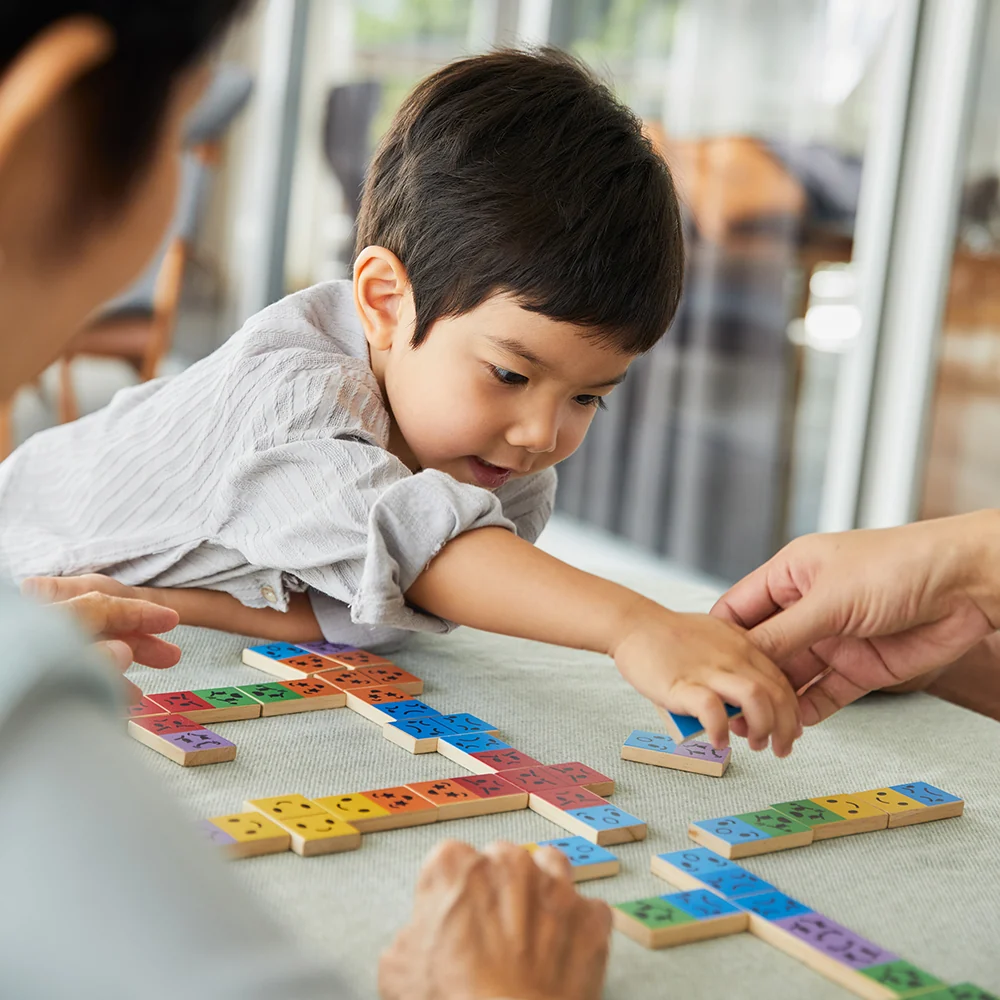 Eco-Friendly Wooden Emotion Dominoes - Image 20