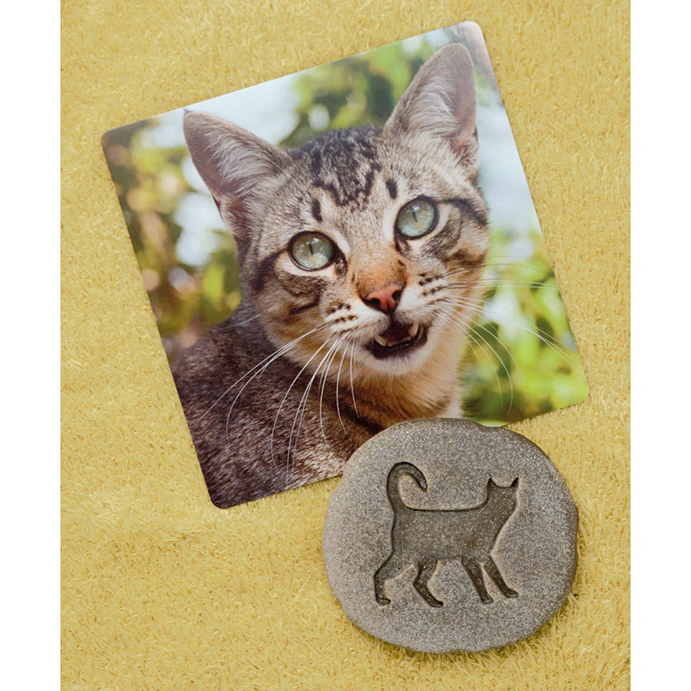 Yellow Door® Let's Investigate Farm Yard Footprints Double-Sided Animal Stones - Image 7