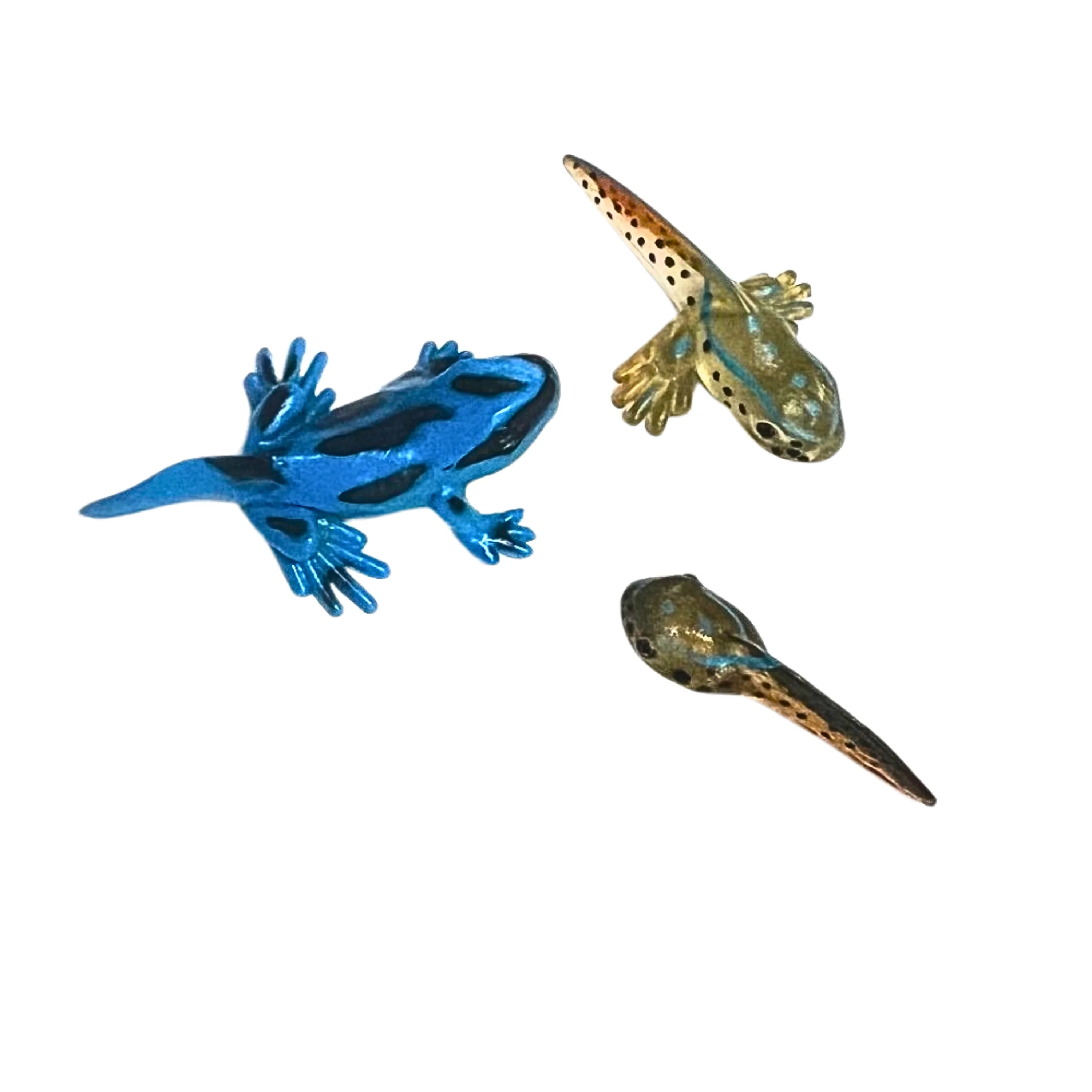 Frog Life Cycle Figurines – 5 Piece Set - Image 6