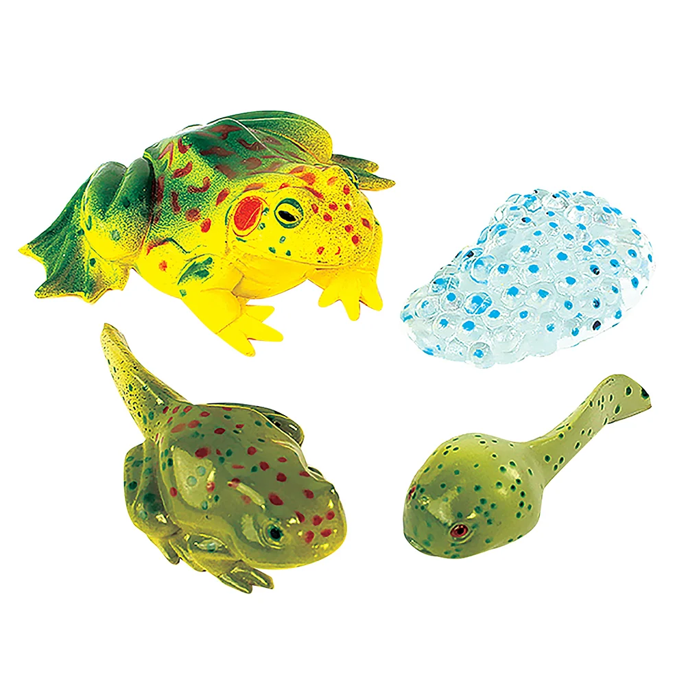Frog Life Cycle Figurines | 4-Piece Educational Set - Image 2