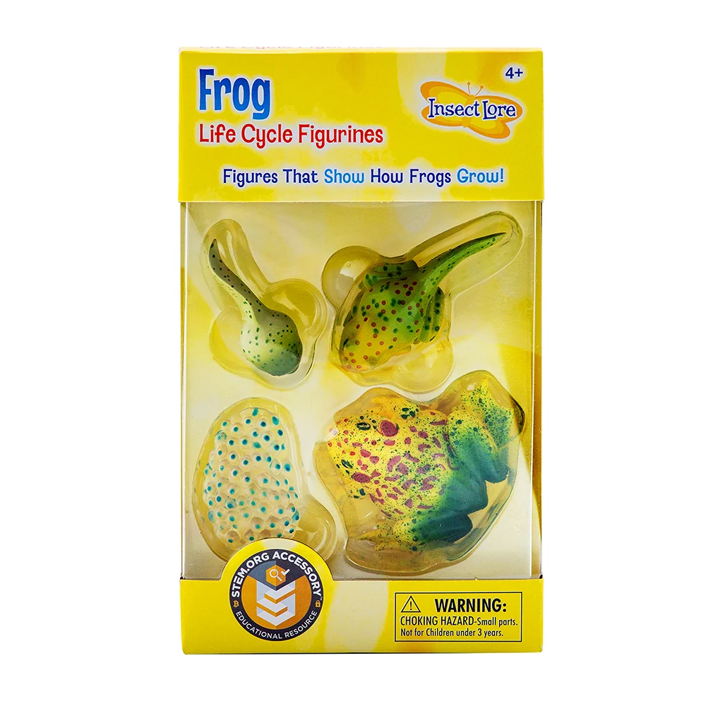 Frog Life Cycle Figurines | 4-Piece Educational Set - Image 3