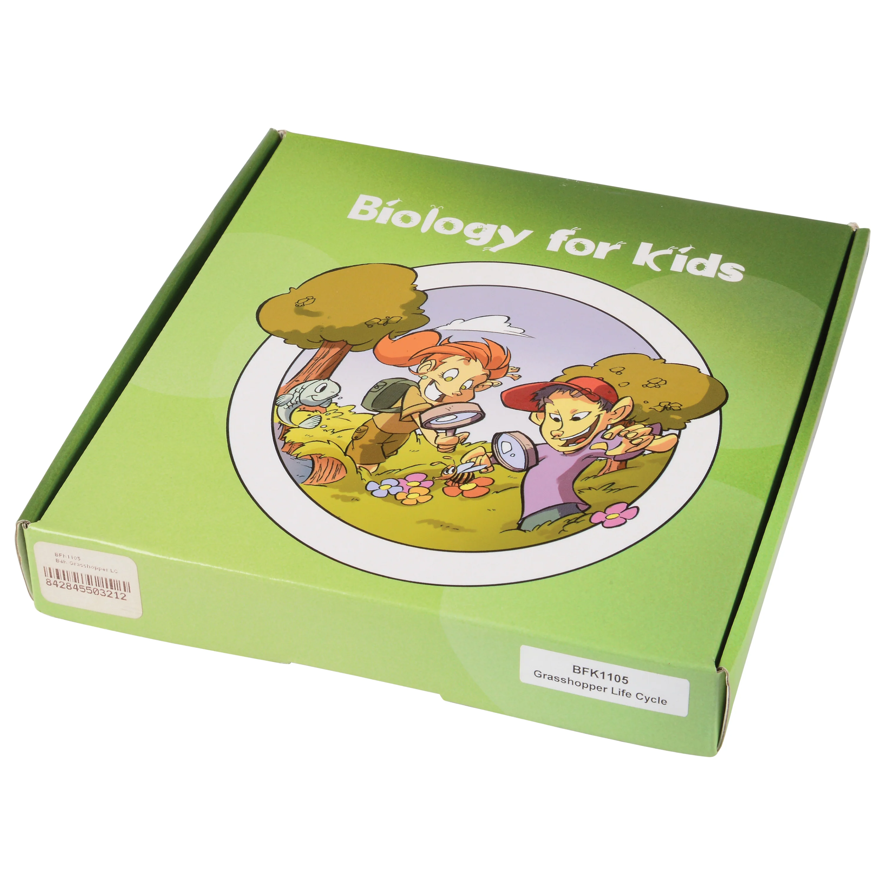 Grasshopper Life Cycle Discovery Set | 5-Piece Educational Model with Guide - Image 5