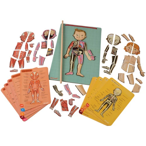 Healthy Bodies Medical Discovery Center - Image 11