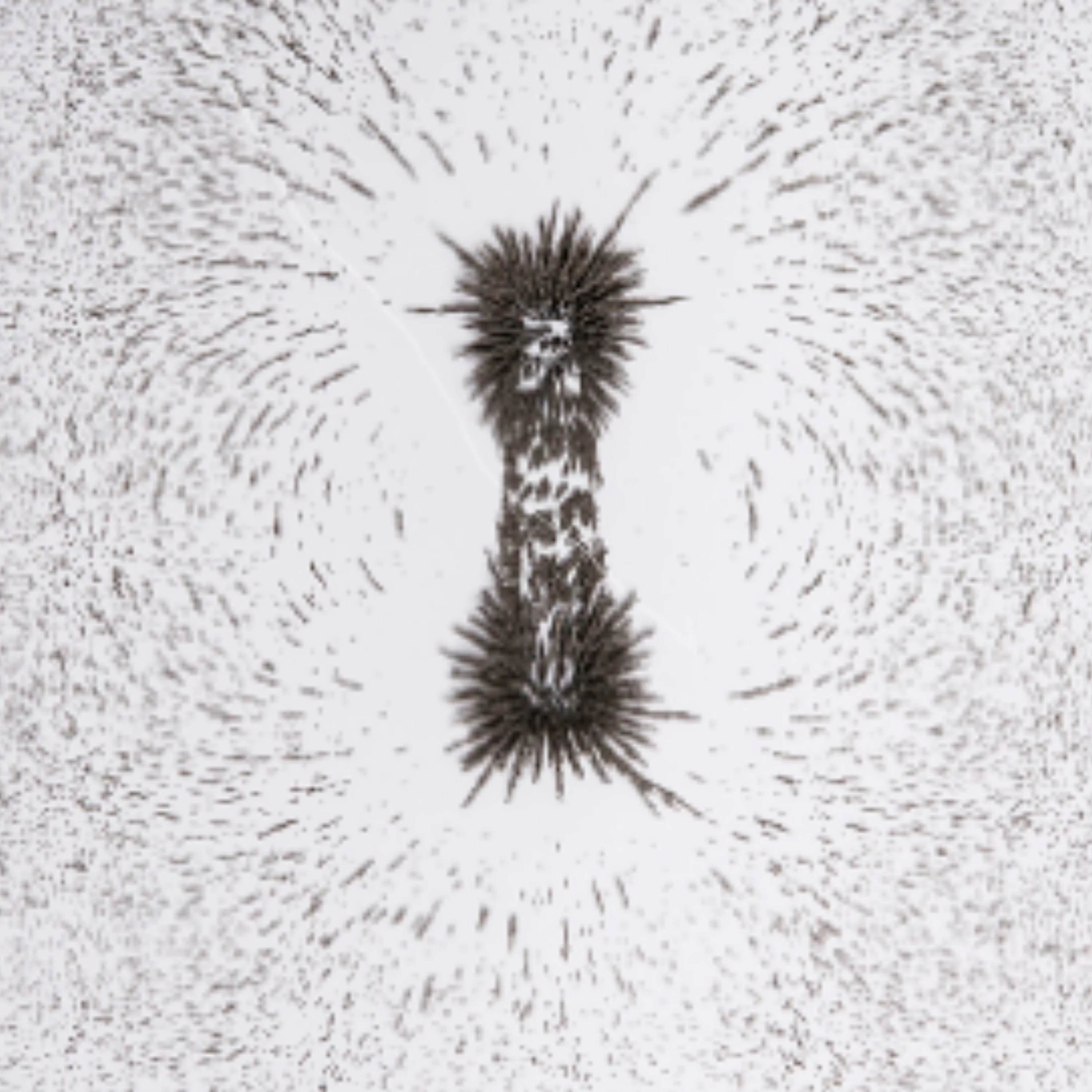 Iron Fillings - Image 4