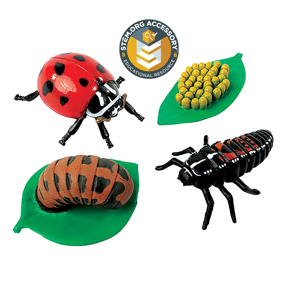 Ladybug Life Cycle Figurines | 4-Piece Educational Set