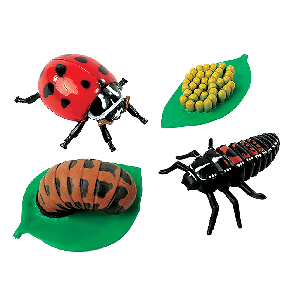 Ladybug Life Cycle Figurines | 4-Piece Educational Set - Image 2