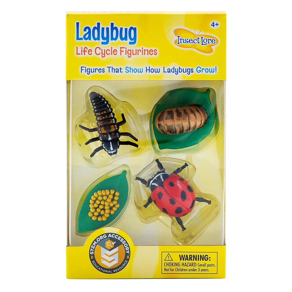 Ladybug Life Cycle Figurines | 4-Piece Educational Set - Image 3