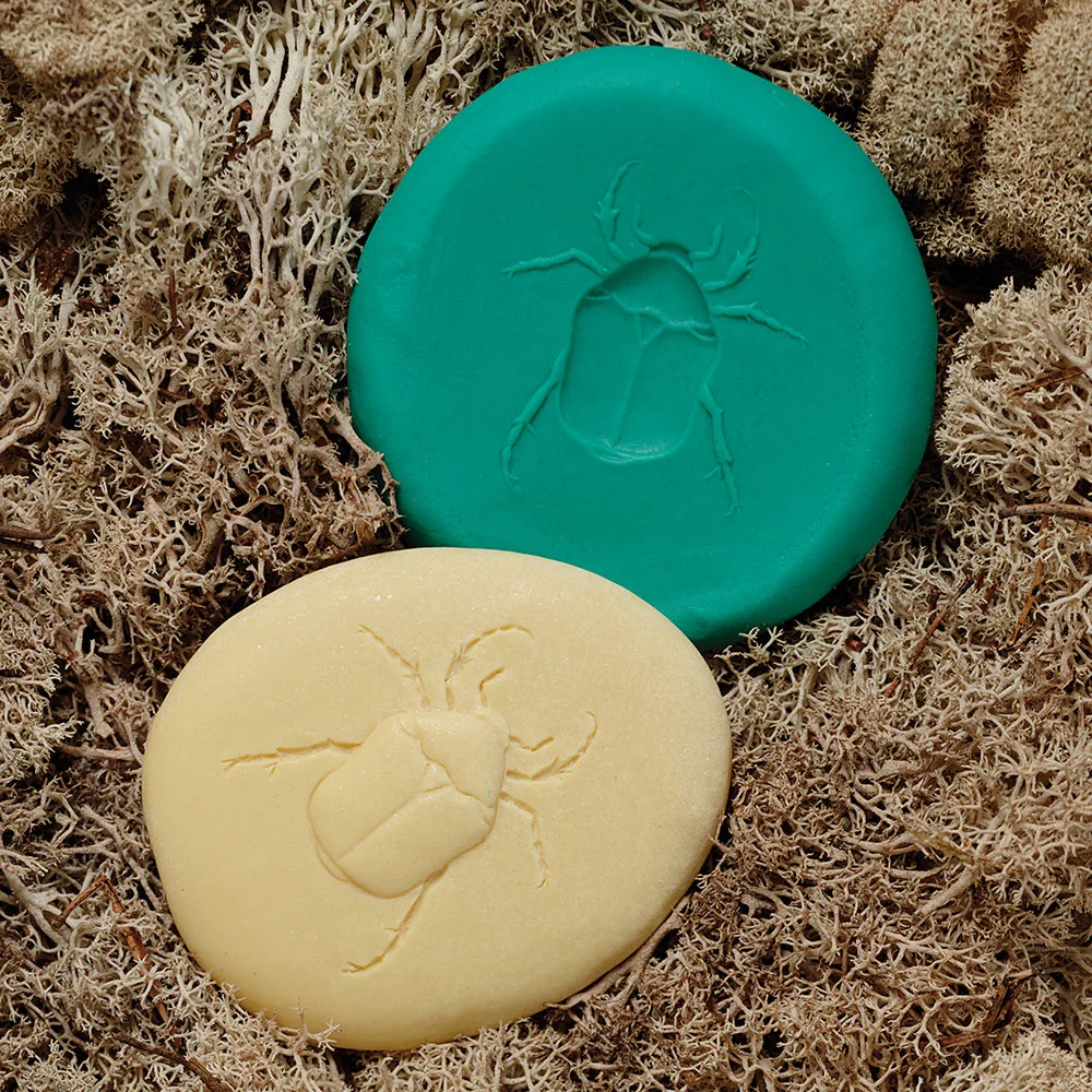 Yellow Door® Let's Investigate Bugs Discovery Kit - Image 7