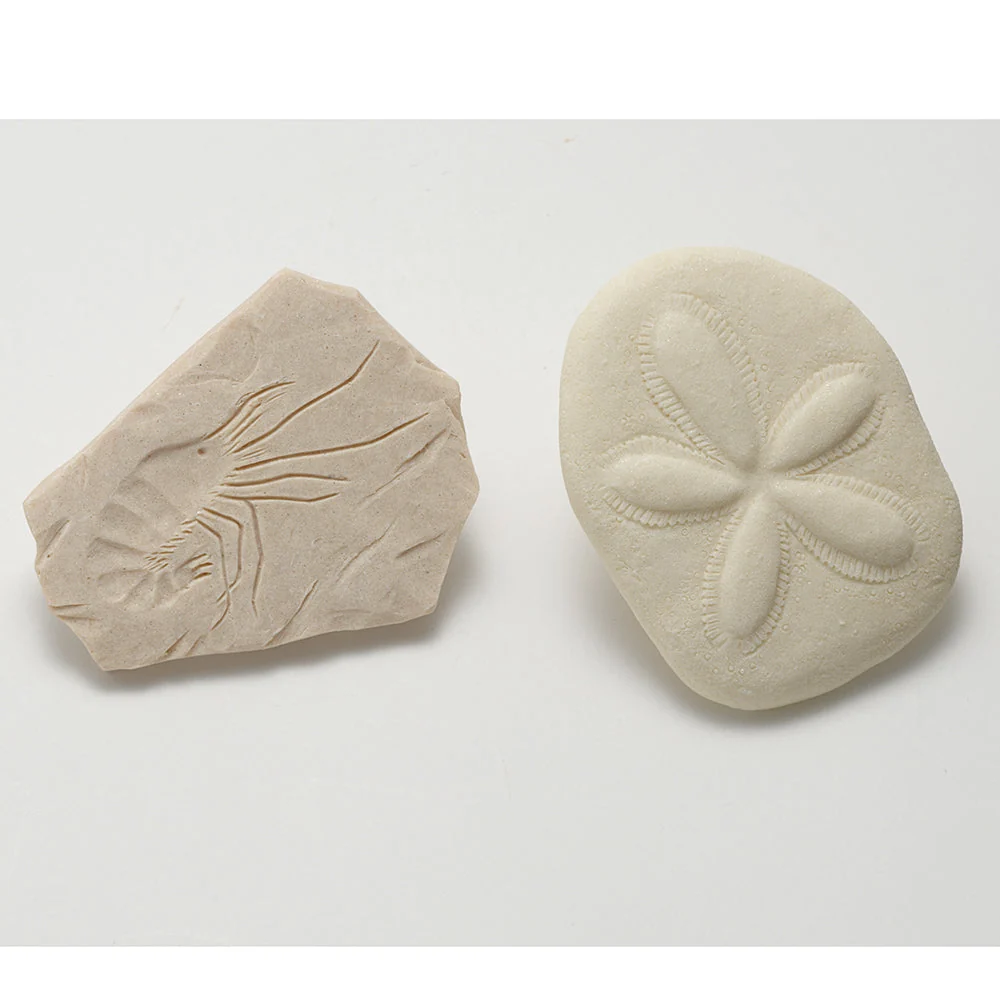 Yellow Door® Let's Investigate Fossils Discovery Kit - Image 10