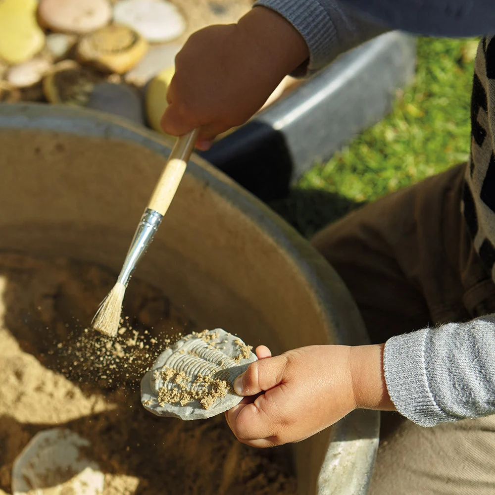 Yellow Door® Let's Investigate Fossils Discovery Kit - Image 11