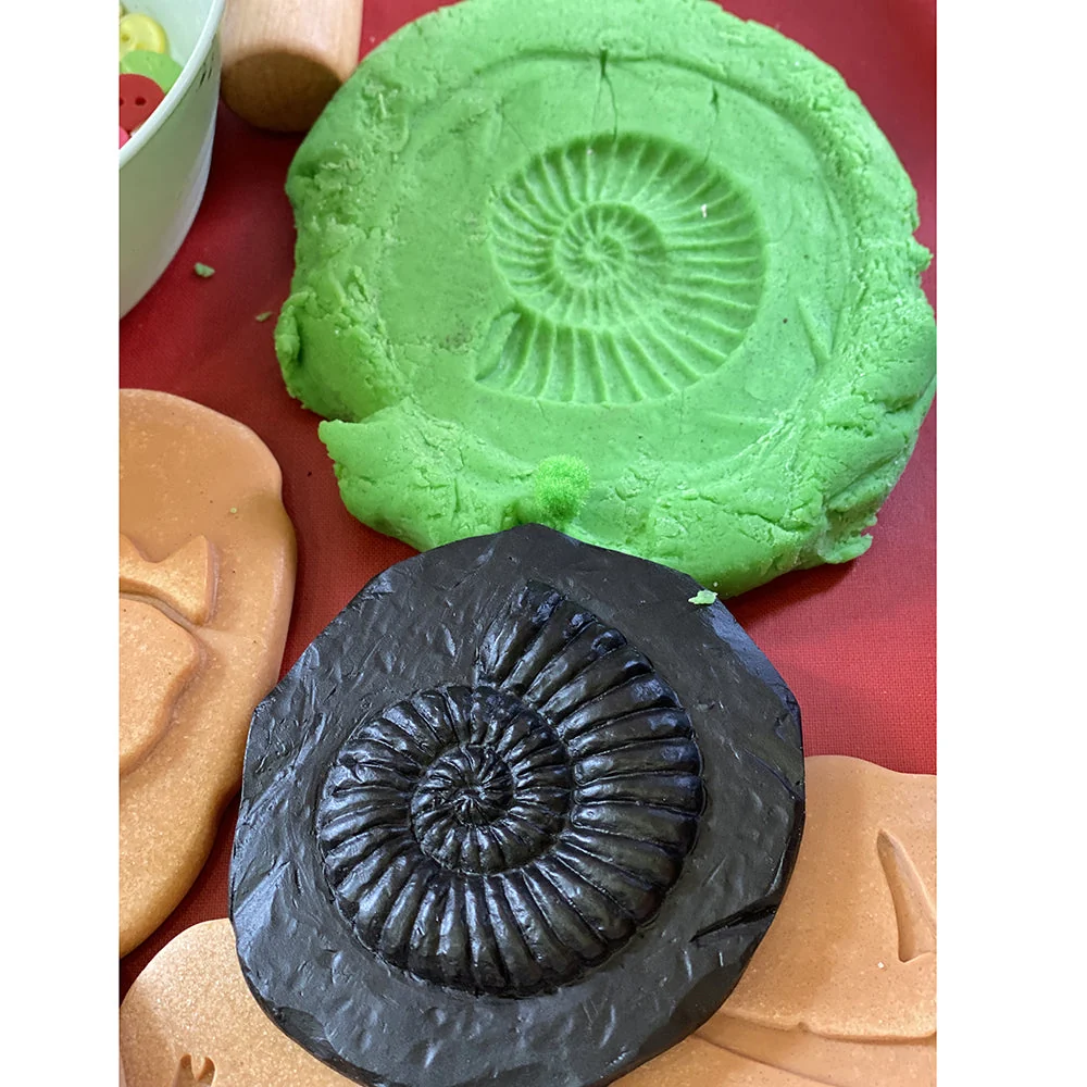 Yellow Door® Let's Investigate Fossils Discovery Kit - Image 12