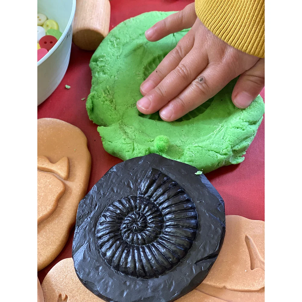 Yellow Door® Let's Investigate Fossils Discovery Kit - Image 13
