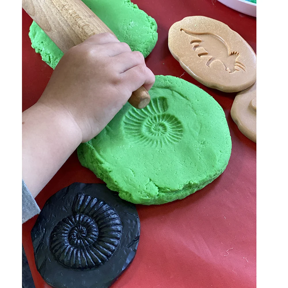 Yellow Door® Let's Investigate Fossils Discovery Kit - Image 14