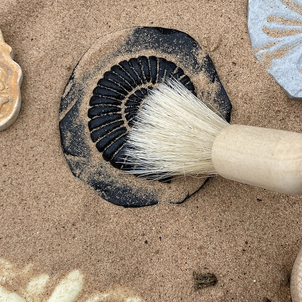 Yellow Door® Let's Investigate Fossils Discovery Kit - Image 15
