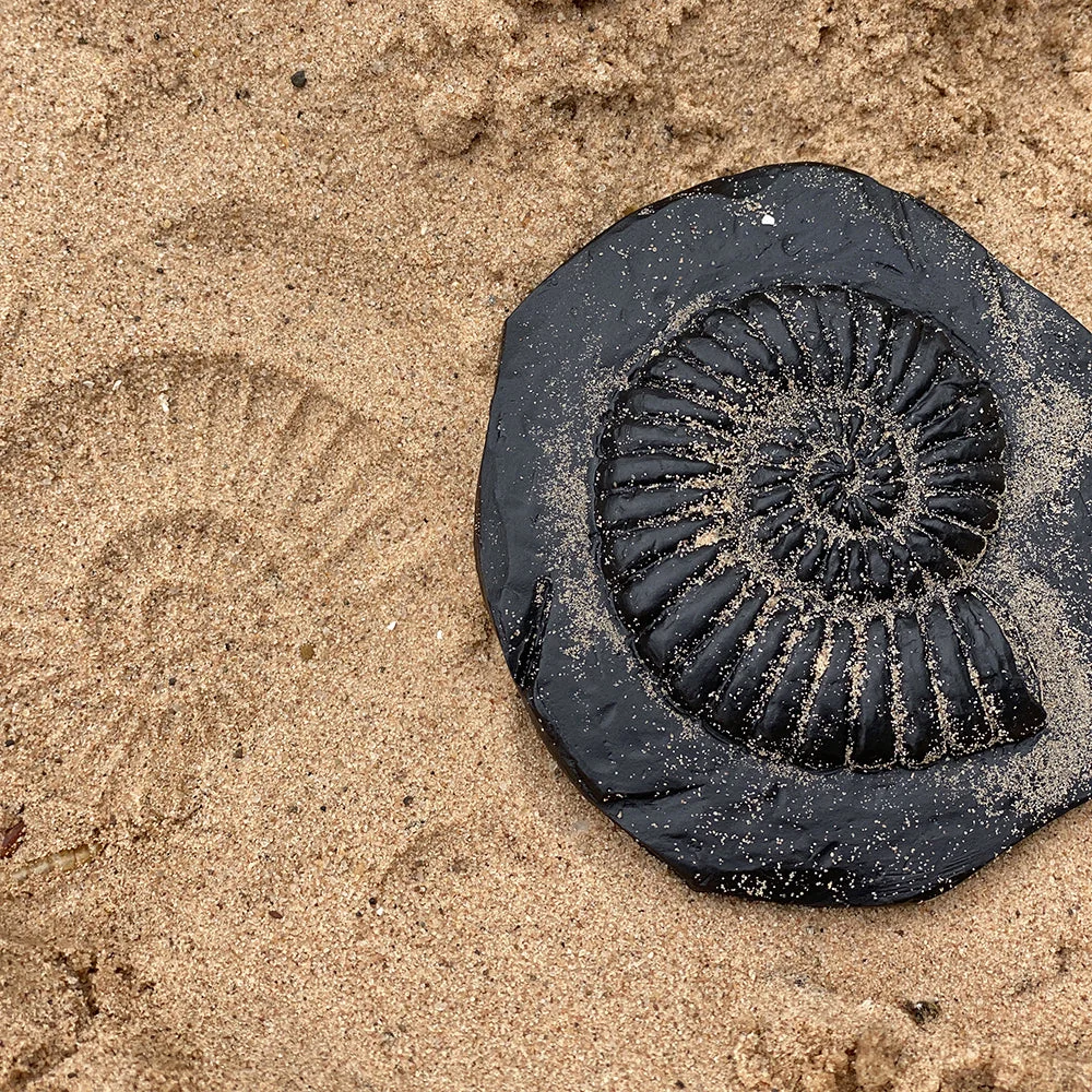 Yellow Door® Let's Investigate Fossils Discovery Kit - Image 16