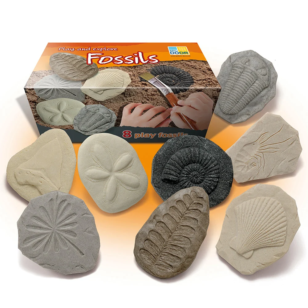 Yellow Door® Let's Investigate Fossils Discovery Kit - Image 17