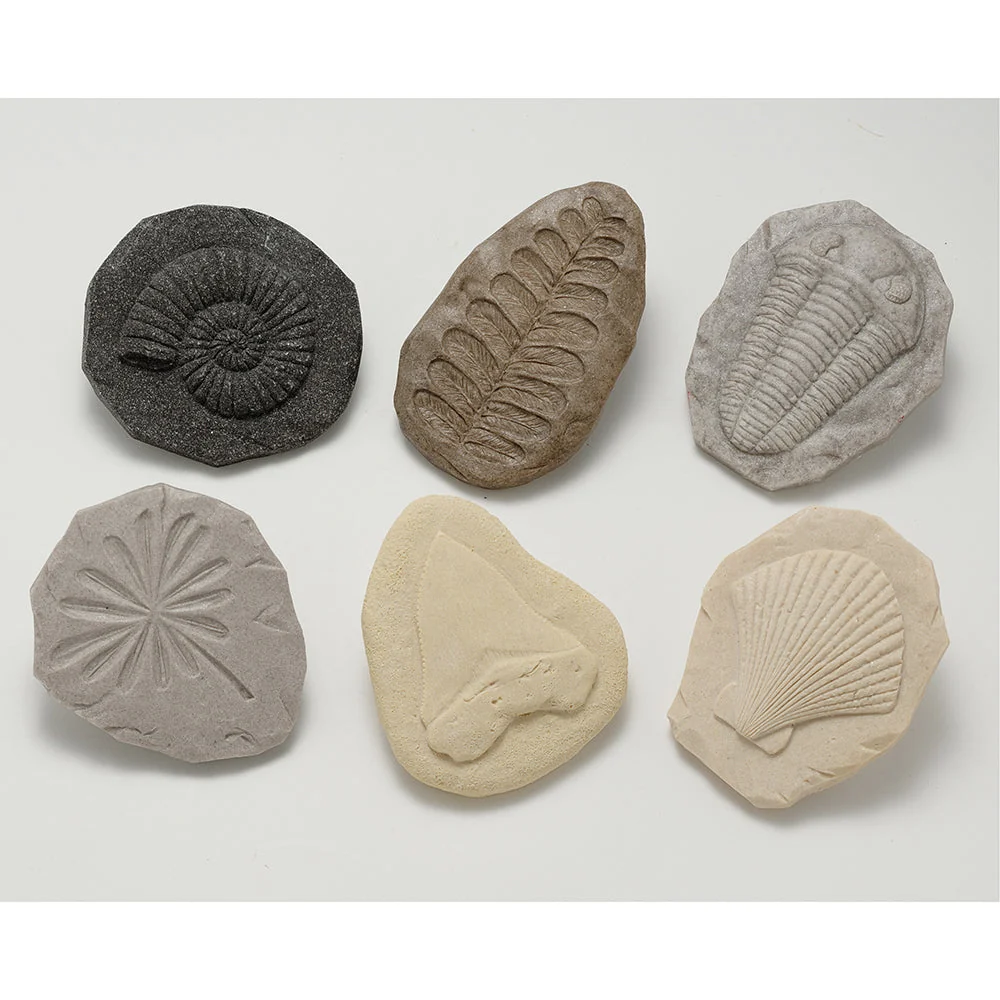 Yellow Door® Let's Investigate Fossils Discovery Kit - Image 3