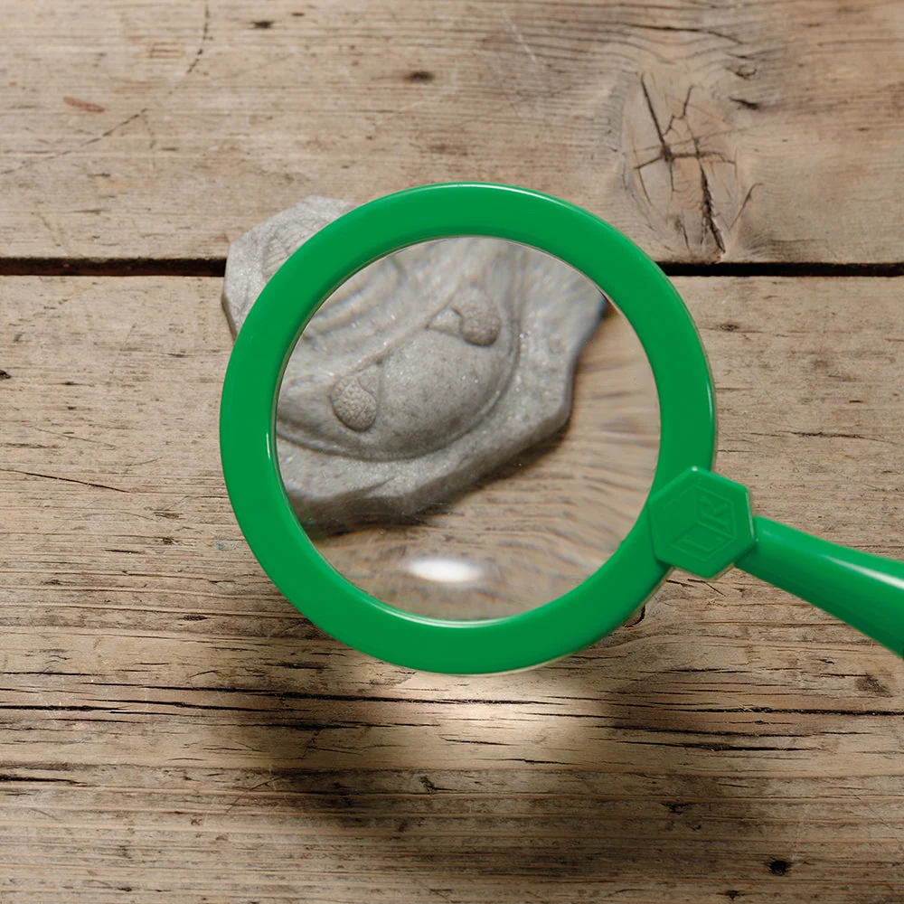 Yellow Door® Let's Investigate Fossils Discovery Kit - Image 4